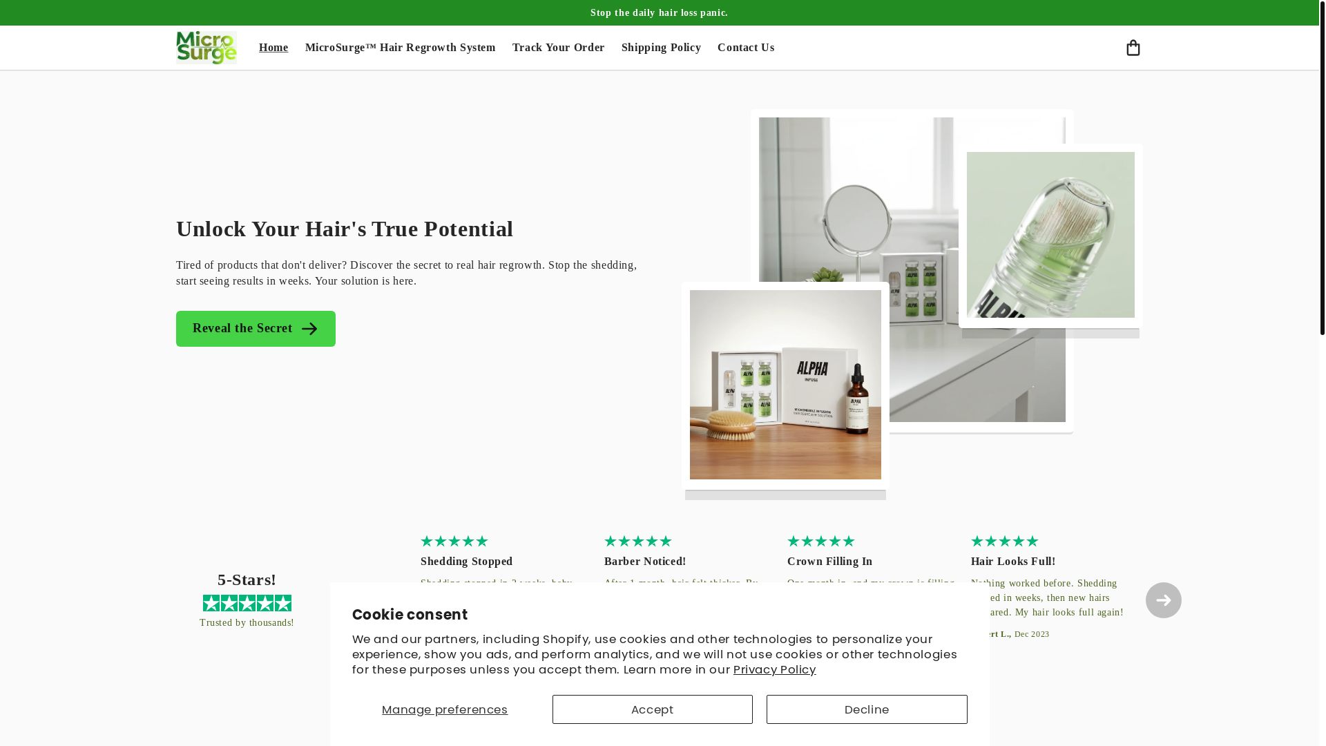 website screenshot of https://microsurge.store/