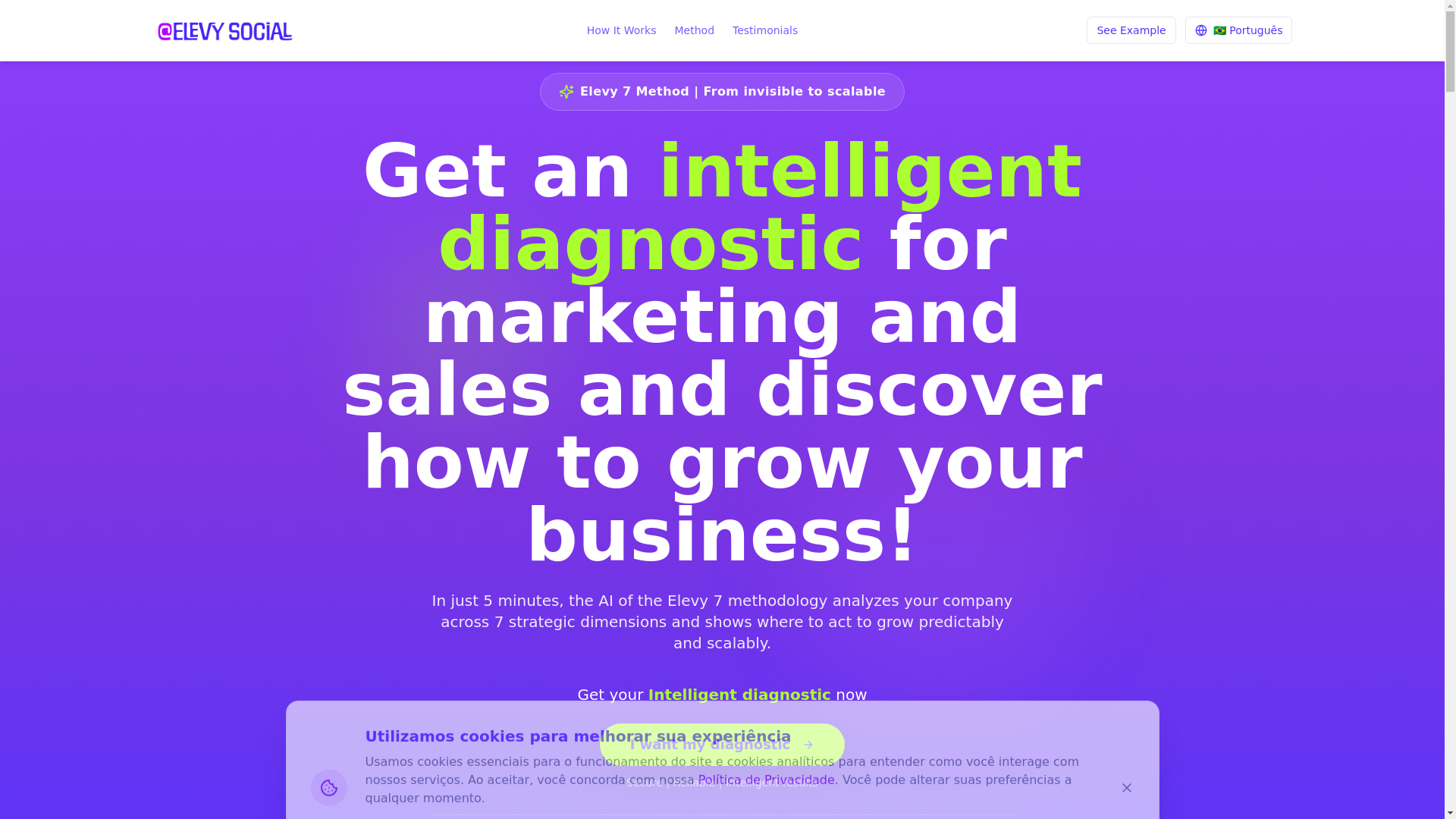 website screenshot of https://elevy7.com.br/