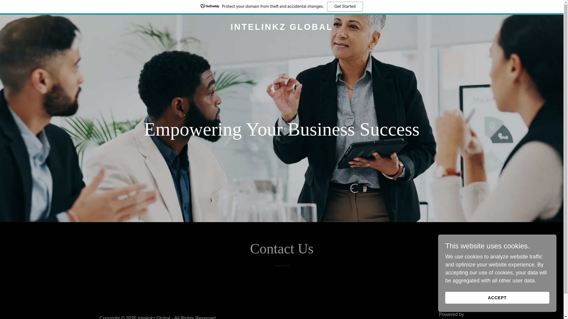 website screenshot of https://intelinkzglobal.com/