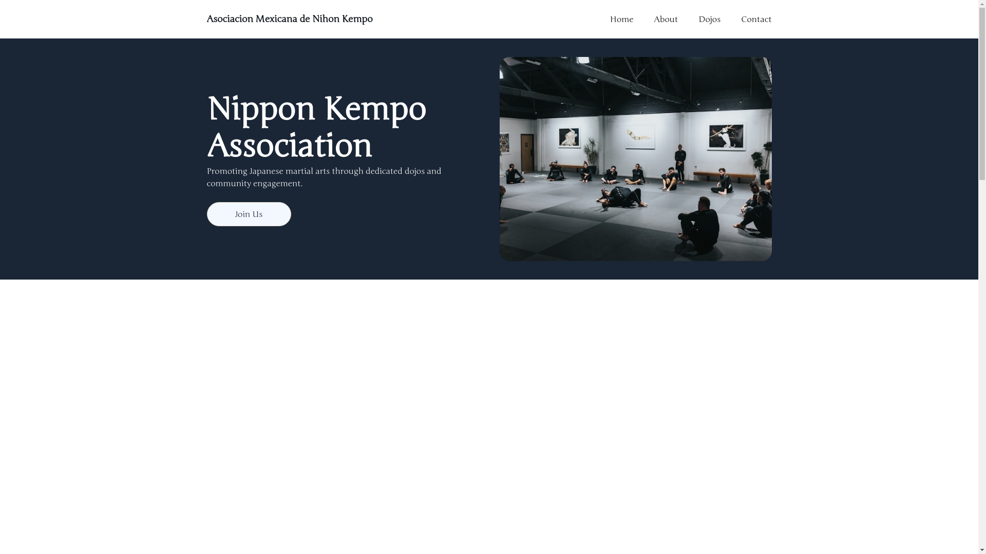 website screenshot of https://amnk.org/