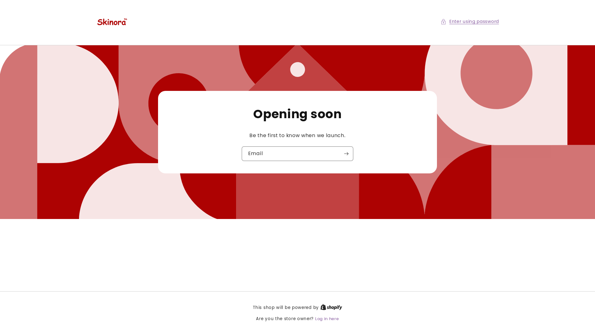 website screenshot of https://skinorabeauty.store/