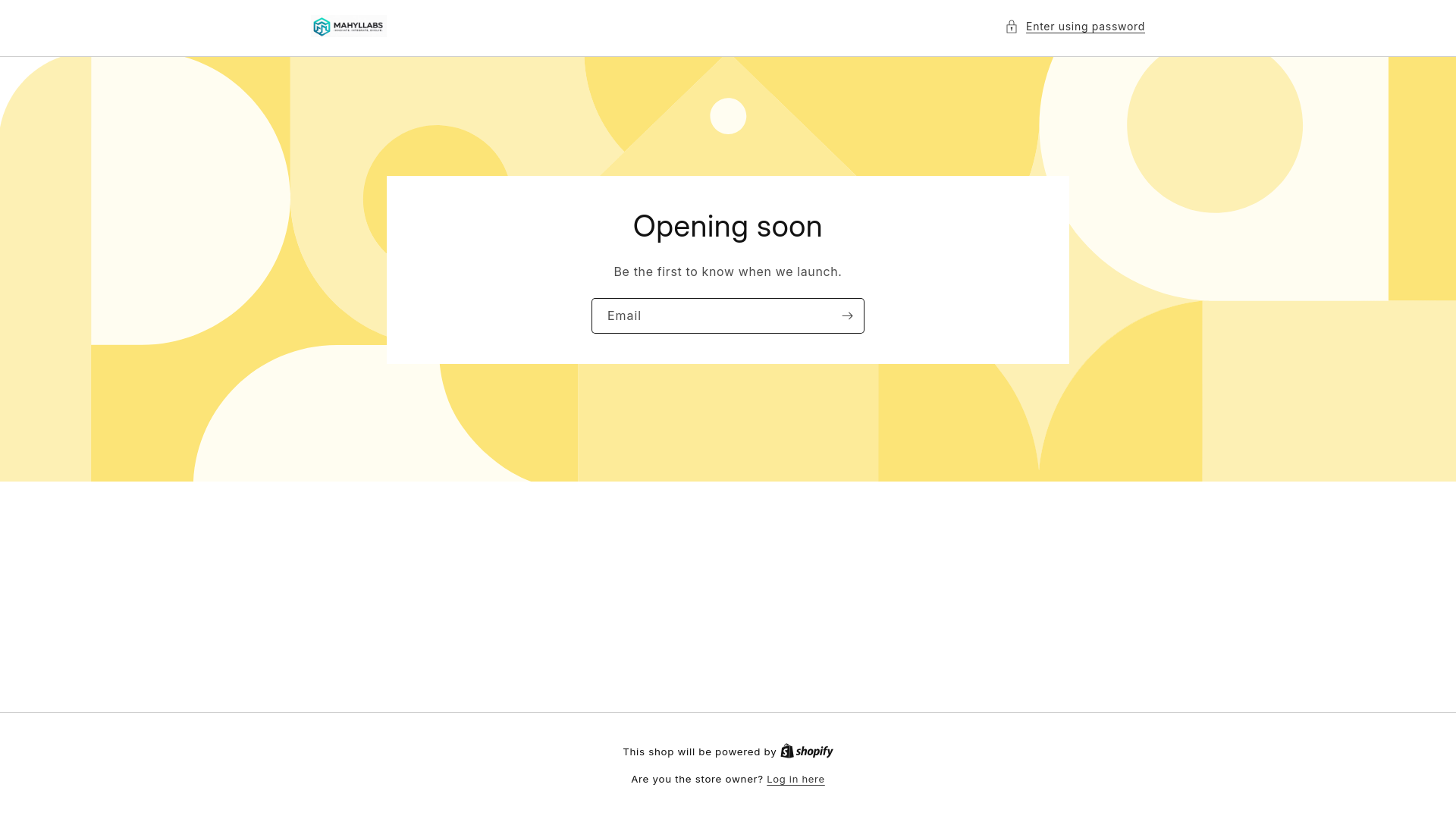 website screenshot of https://mahylmegastore.com/