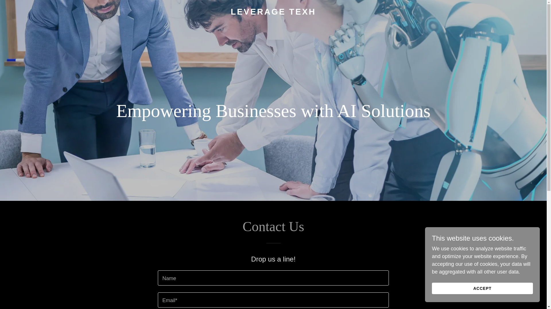 website screenshot of https://leveragetexh.com/