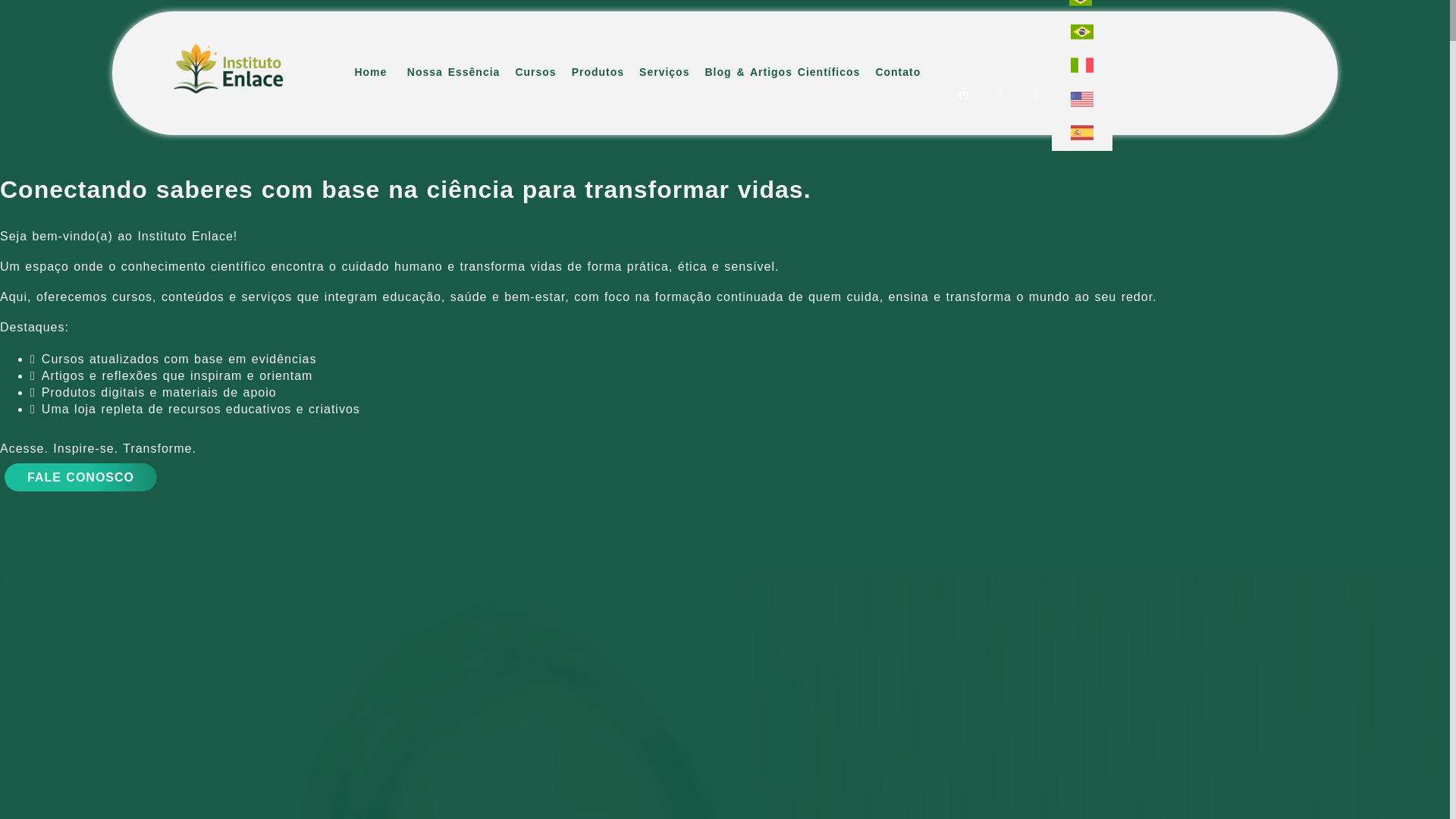 website screenshot of https://institutoenlace.com.br/