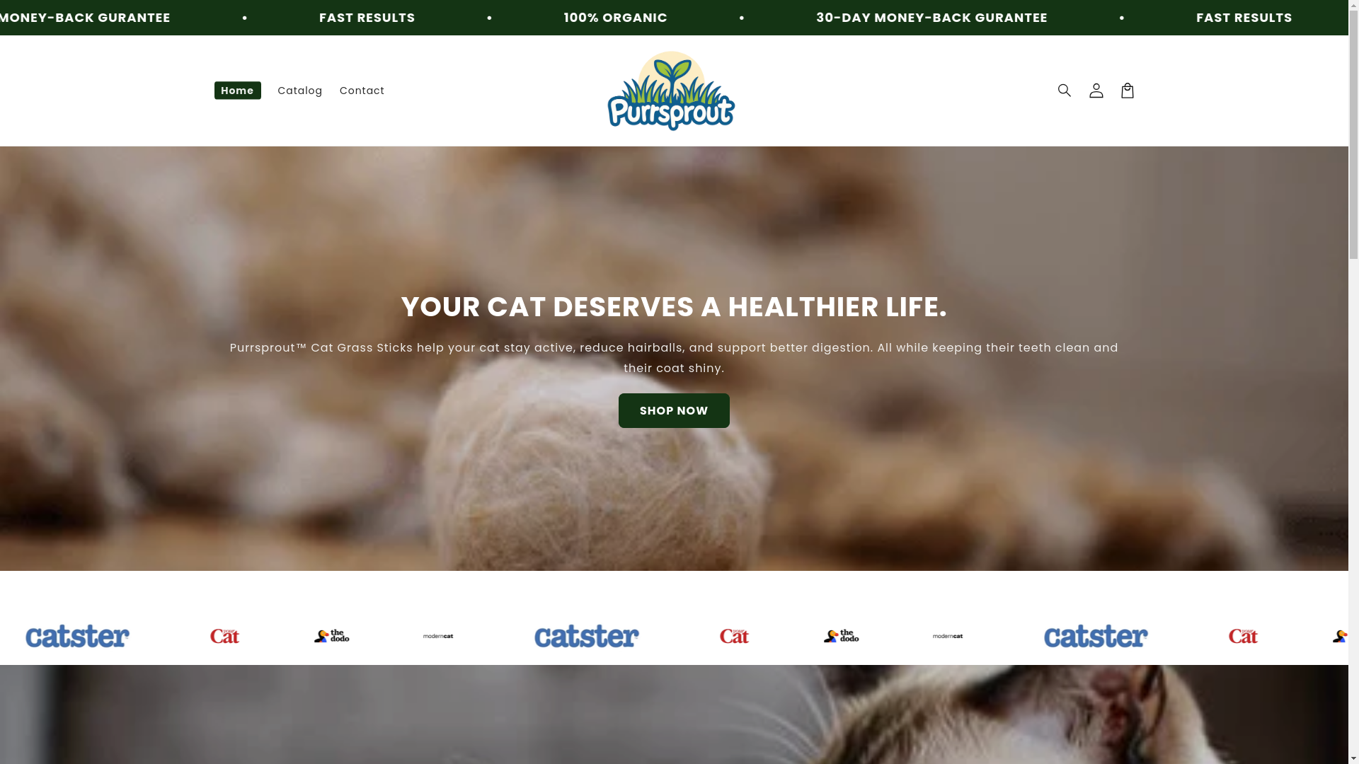 website screenshot of https://purrsprout.com/