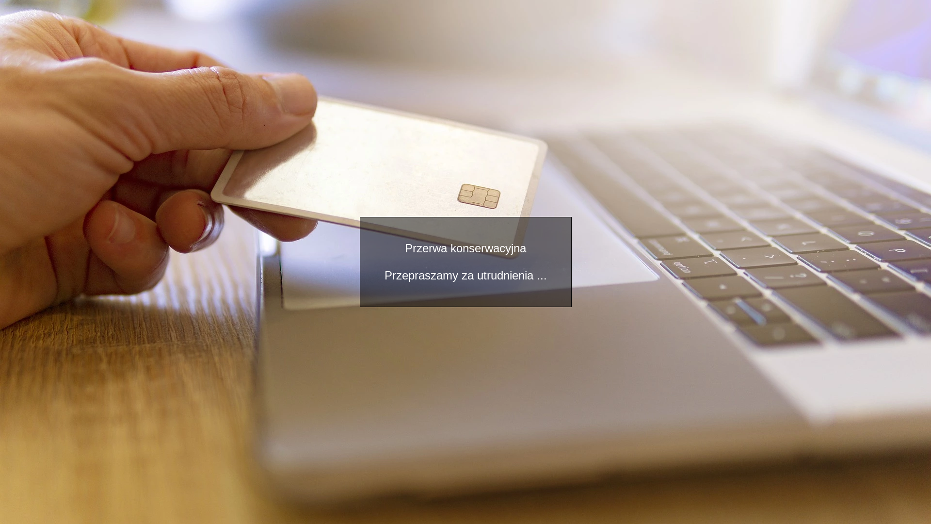 website screenshot of https://multifactory.pl/