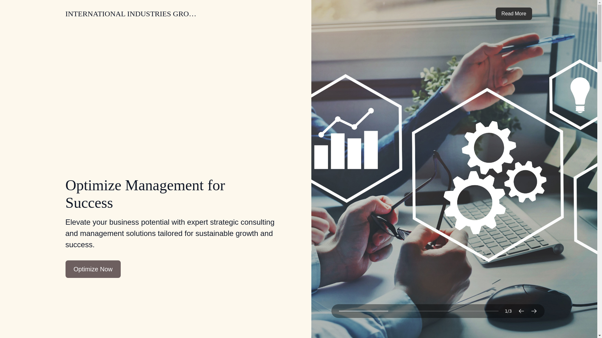 website screenshot of https://internationalindustriesgroup.com/