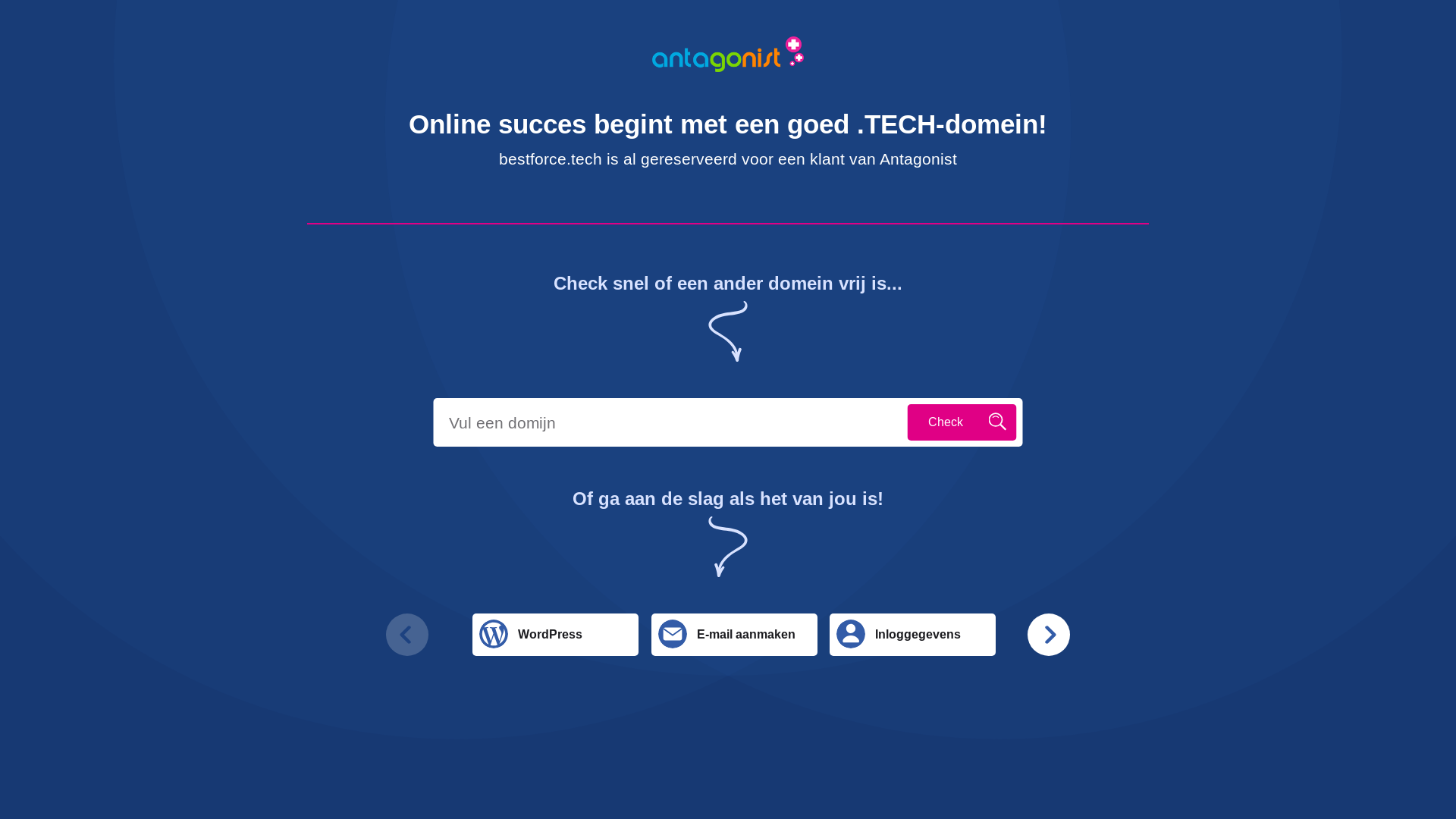 website screenshot of https://bestforce.tech/