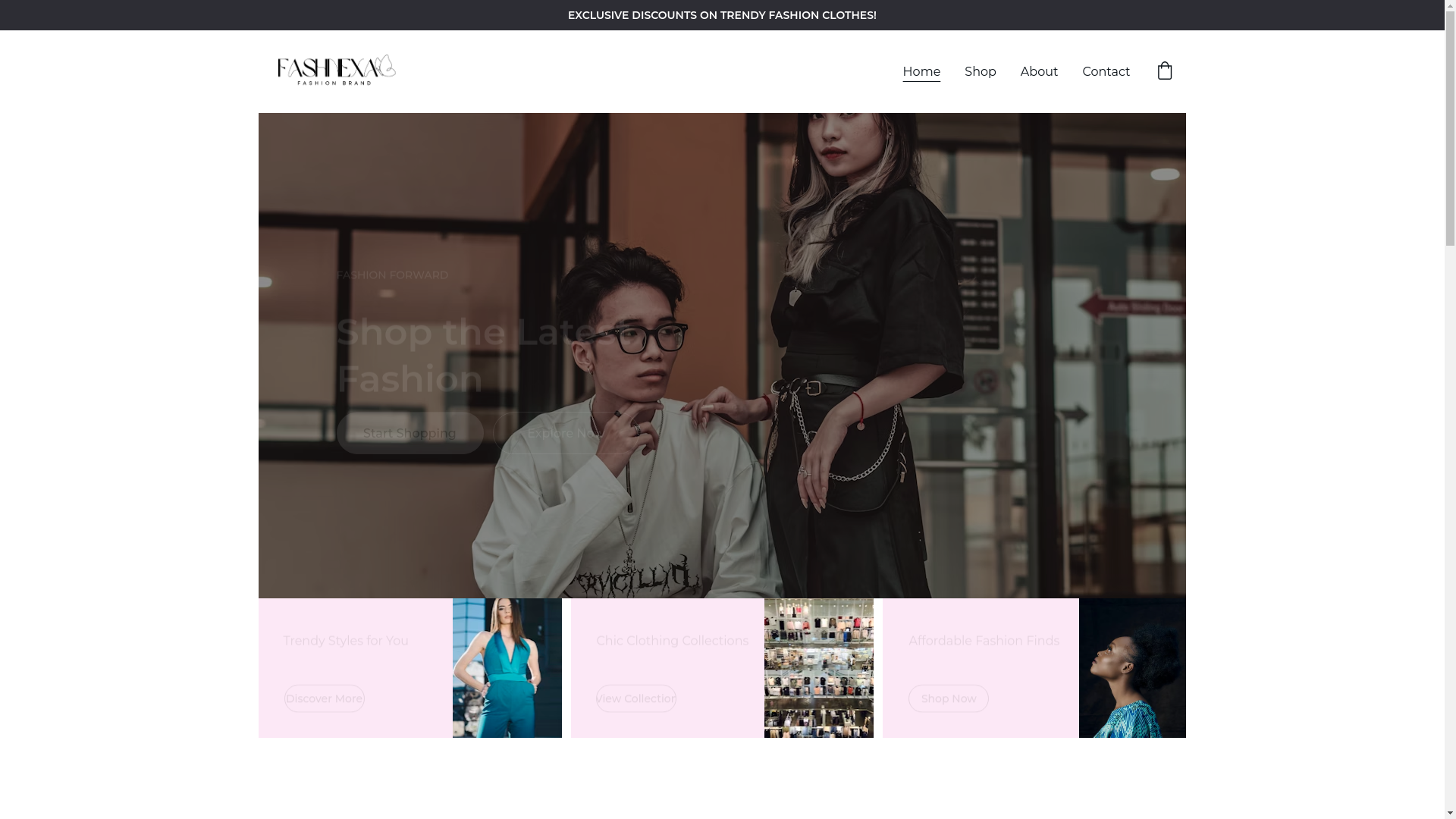 website screenshot of https://fashnexa.online/