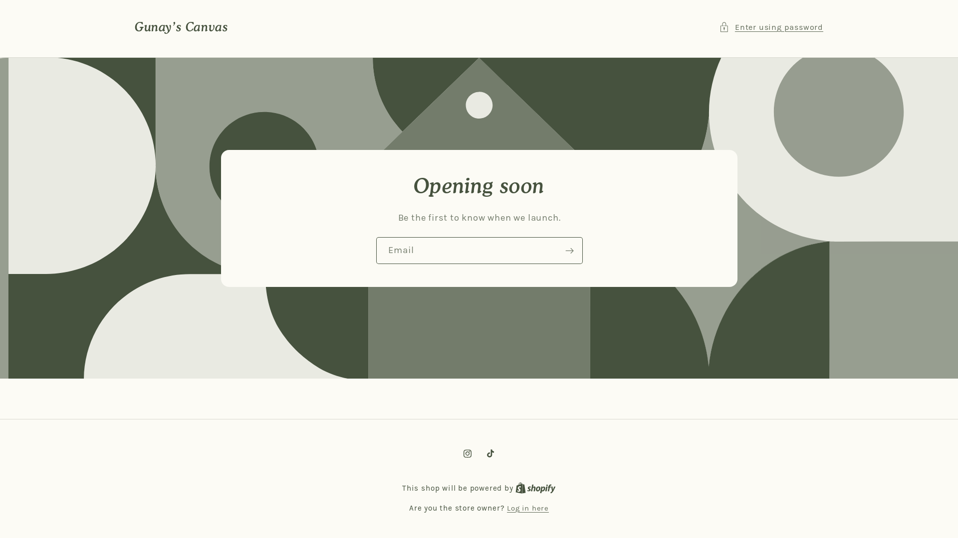 website screenshot of https://gunayscanvas.com/