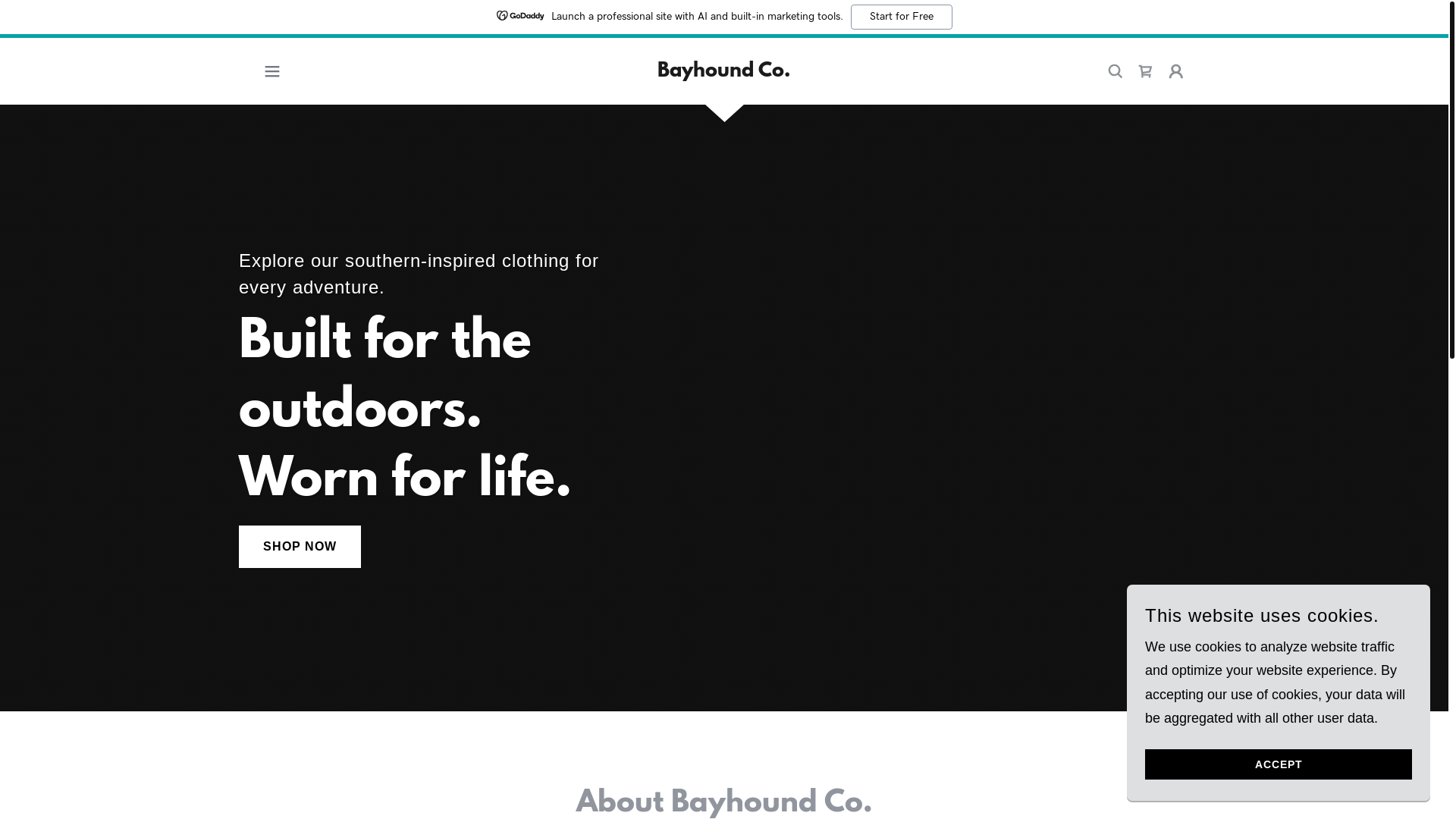 website screenshot of https://bayhoundco.com/