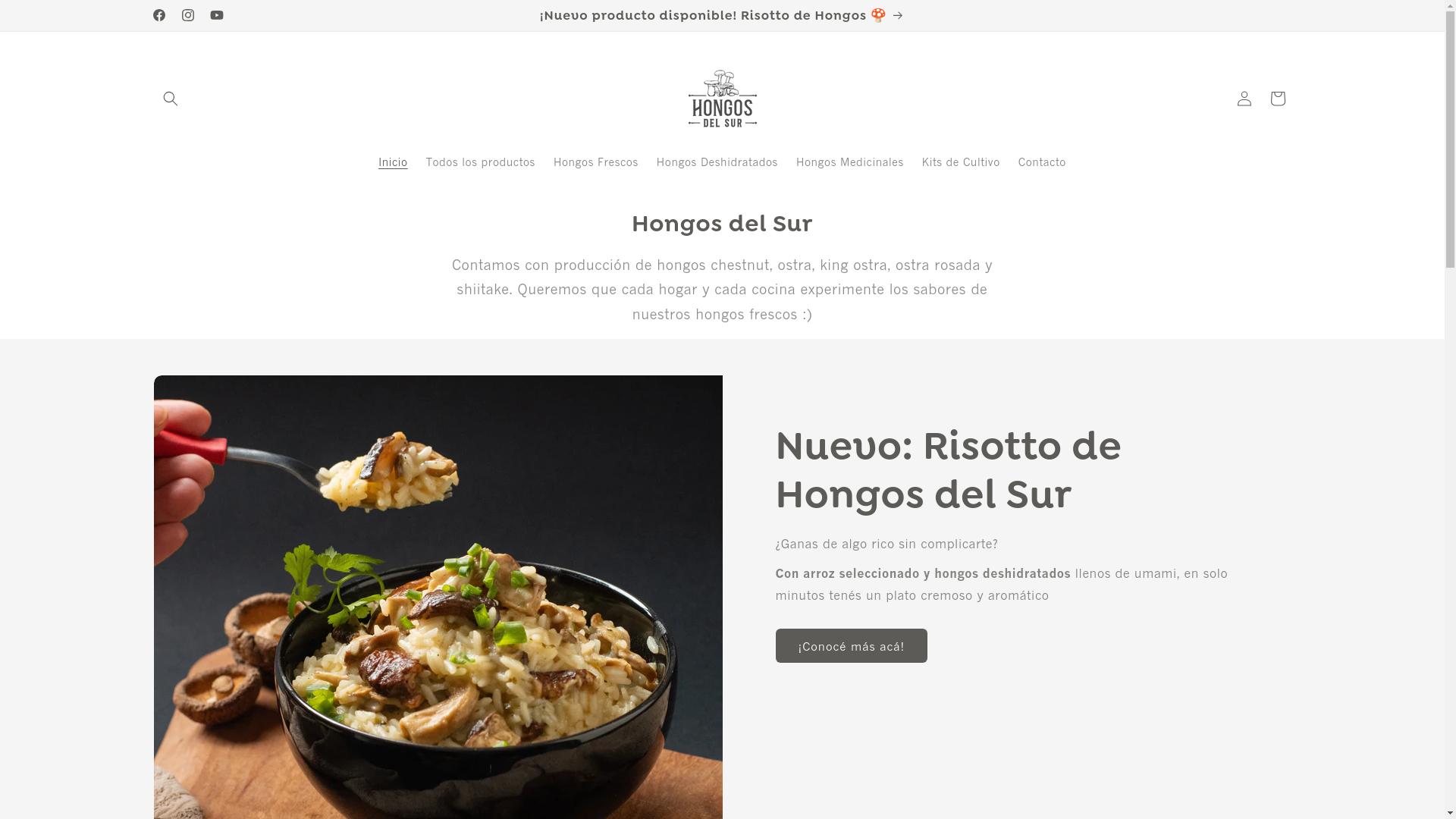 website screenshot of https://hongosdelsur.com.py/