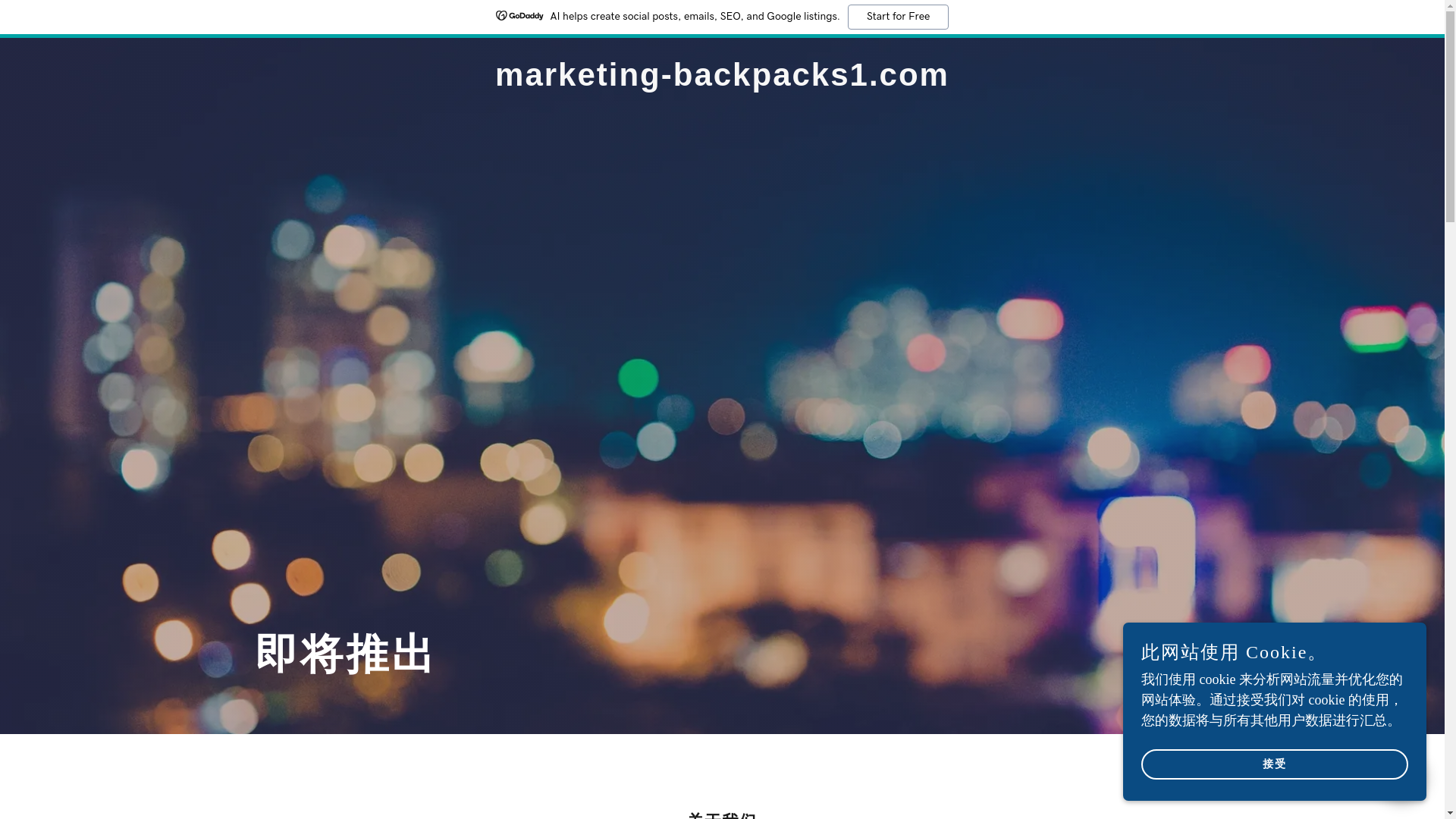 website screenshot of https://marketing-backpacks1.com/