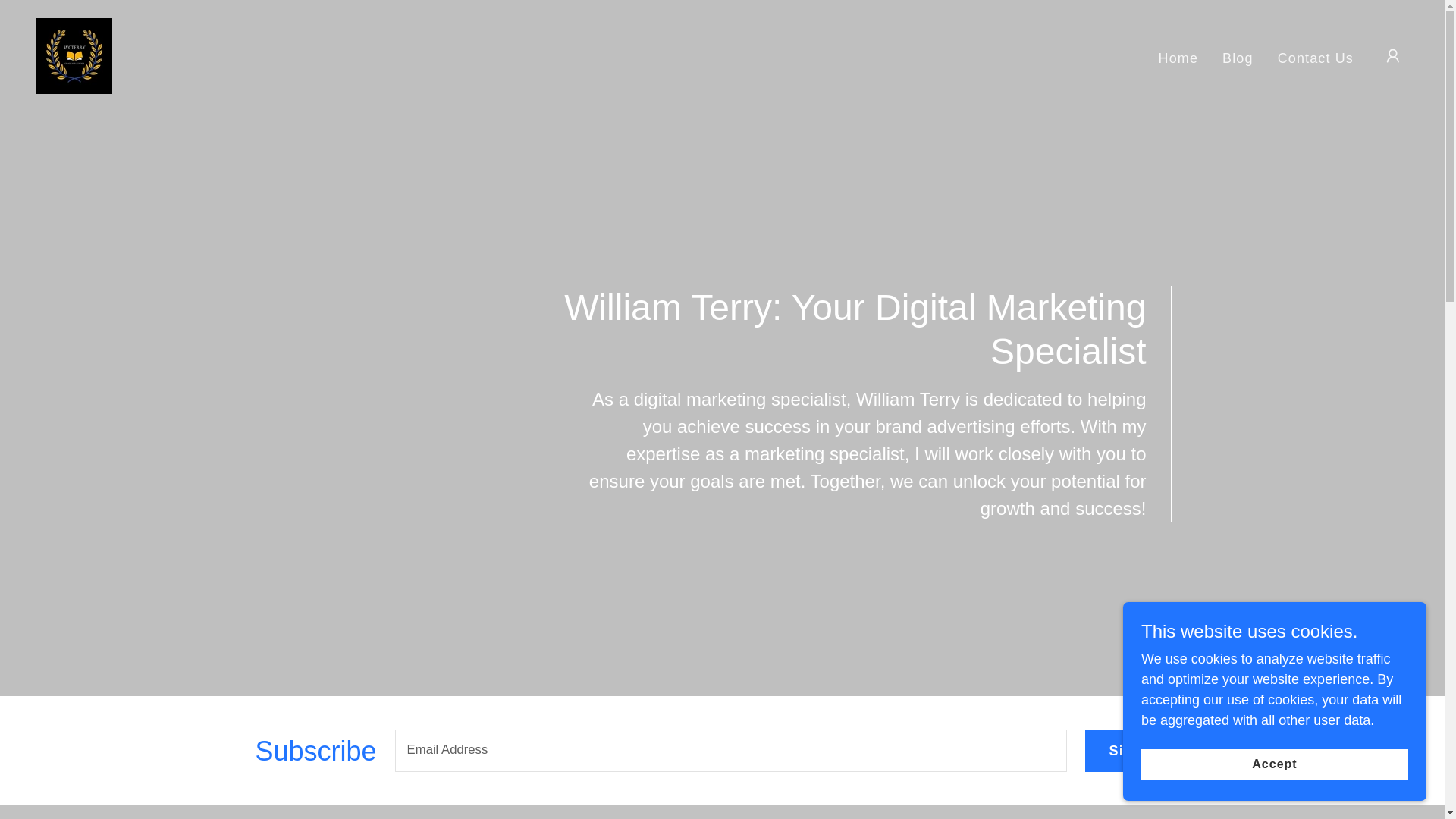 website screenshot of https://williamterrydigitalmarketing.com/