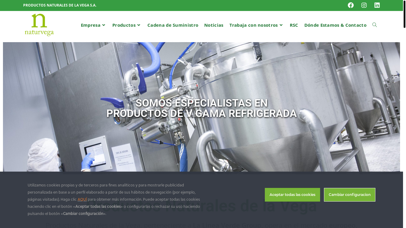 website screenshot of https://naturvega.es/
