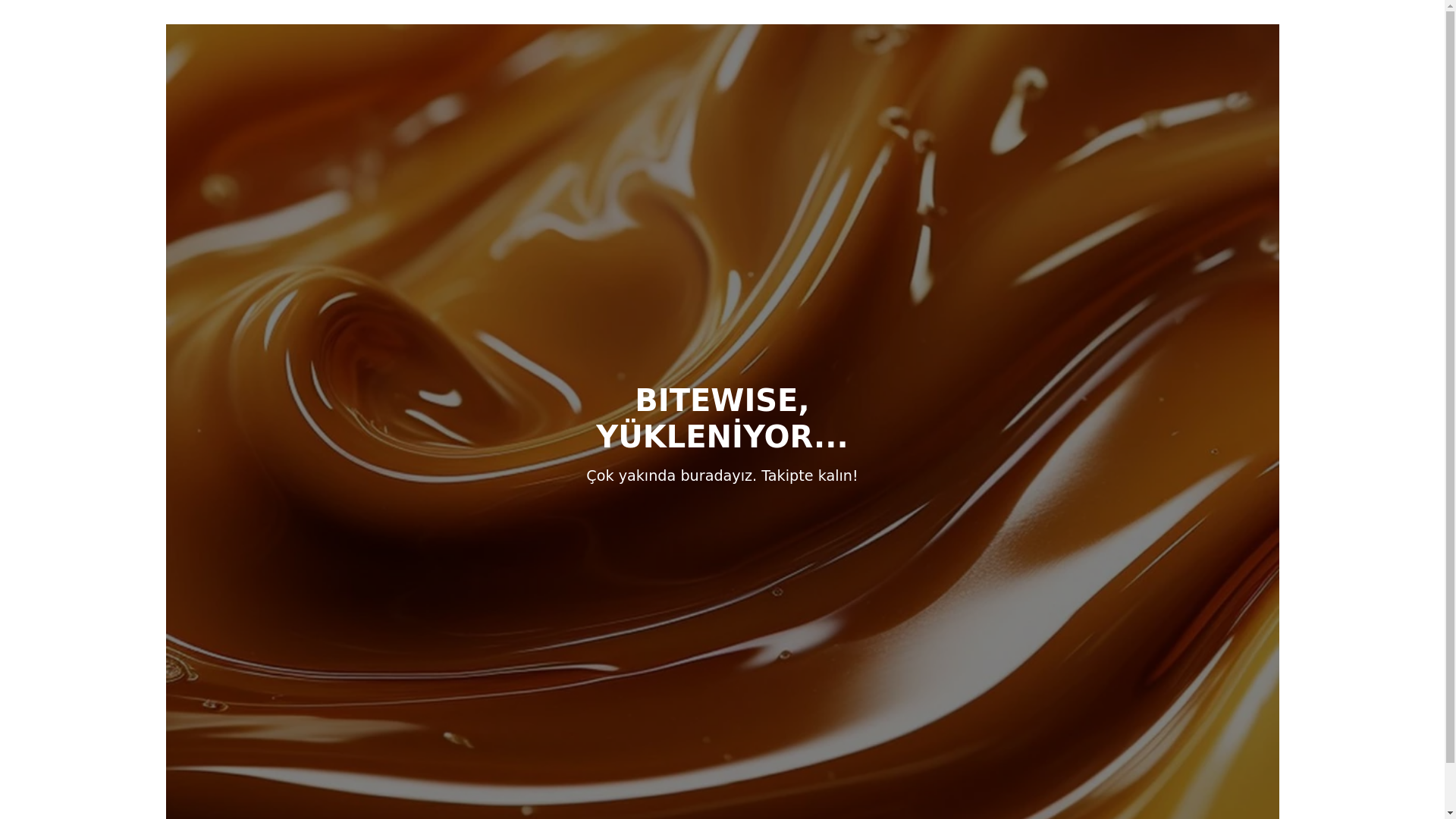website screenshot of https://bitewise.com.tr/