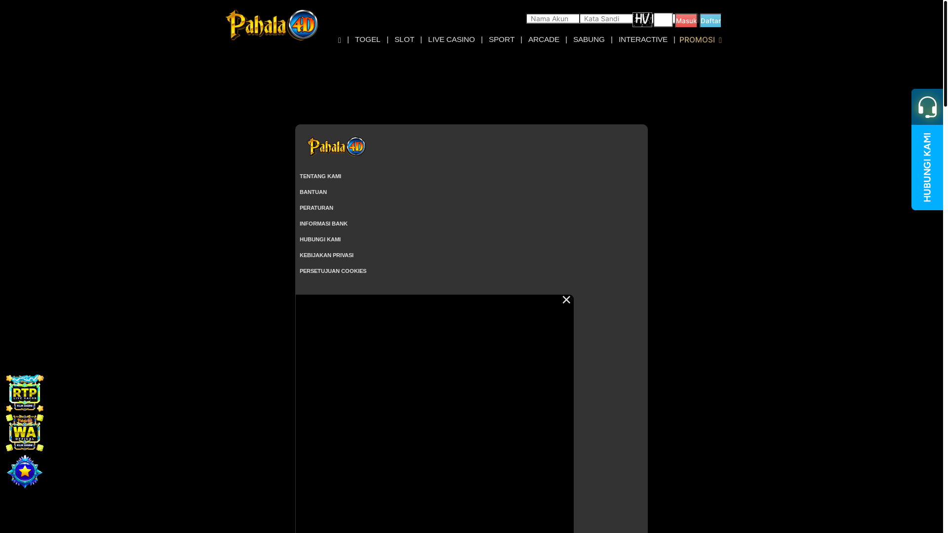 website screenshot of https://pahala4dyz.com/