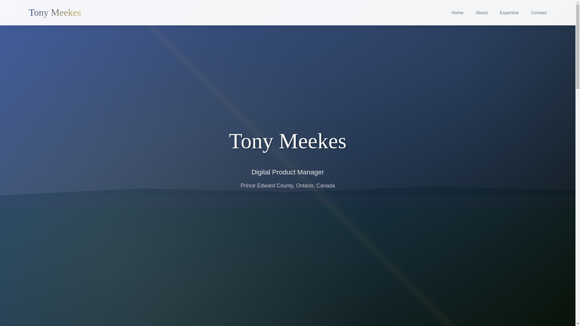 website screenshot of https://web-tonymeekes.pages.dev/