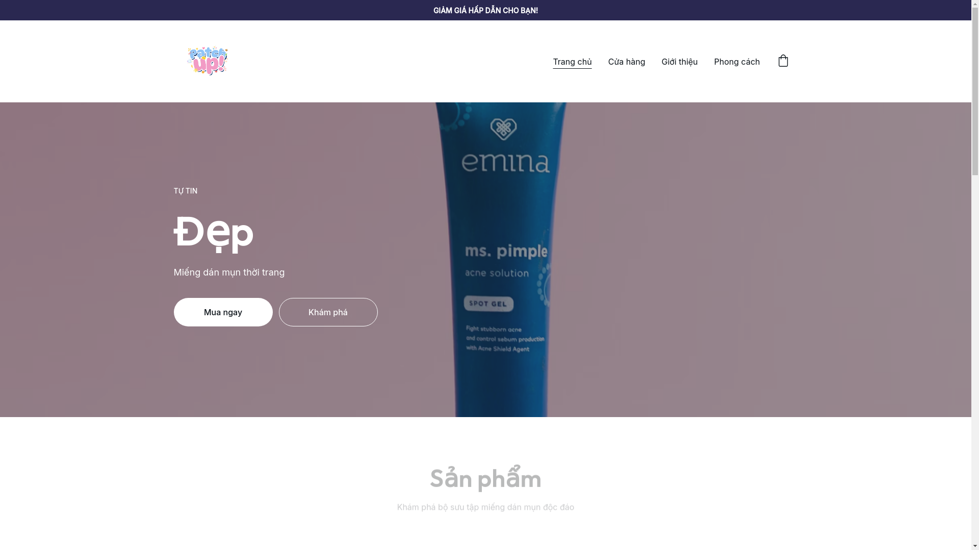 website screenshot of https://patchupvn.com/