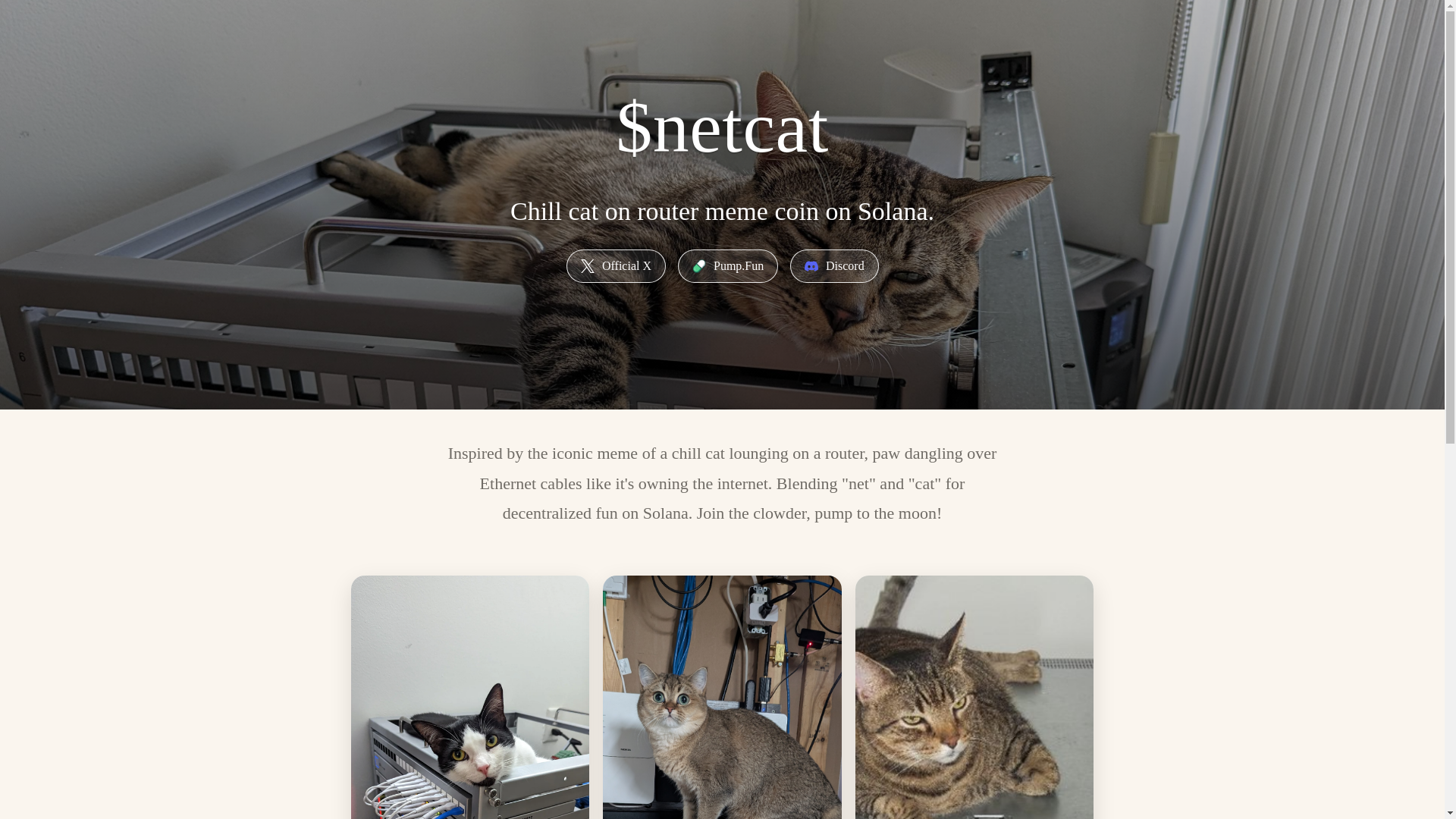 website screenshot of https://netcat-8n0.pages.dev/