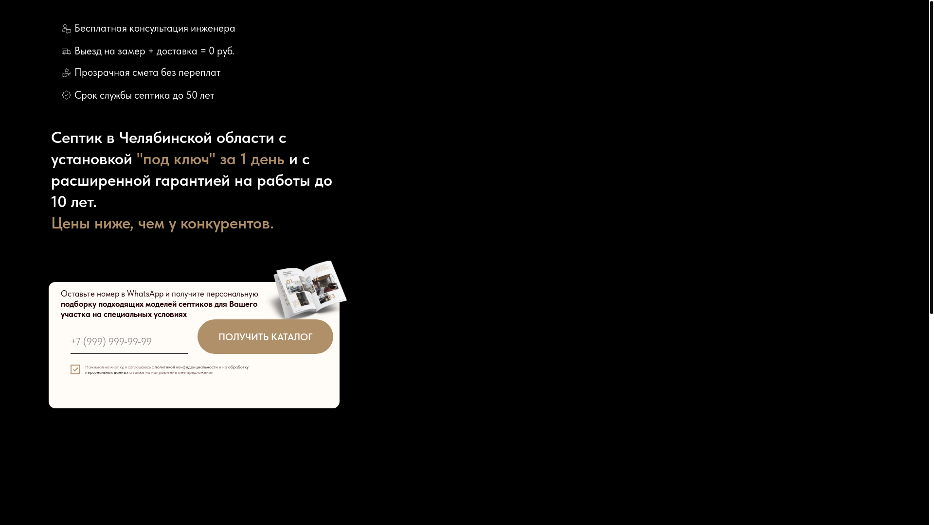 website screenshot of https://septik-chelyabinsk.ru/