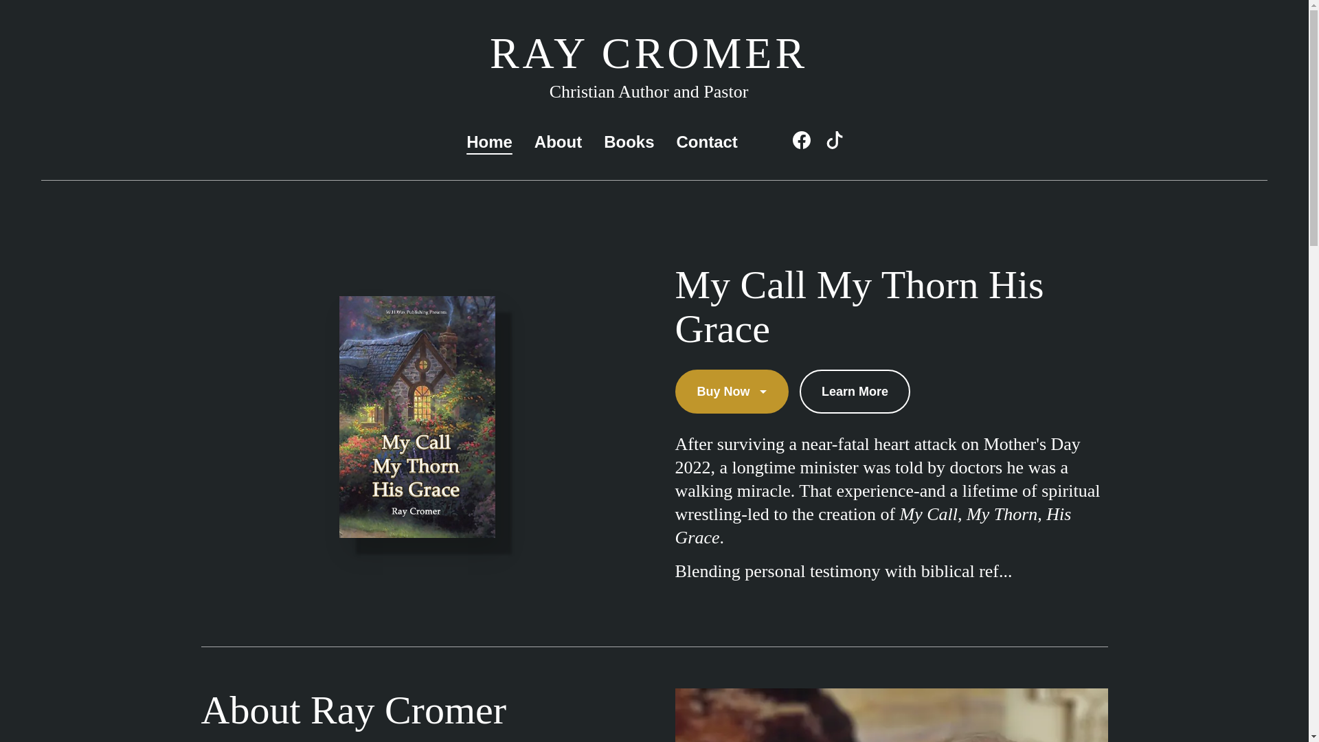 website screenshot of https://raycromerbooks.com/