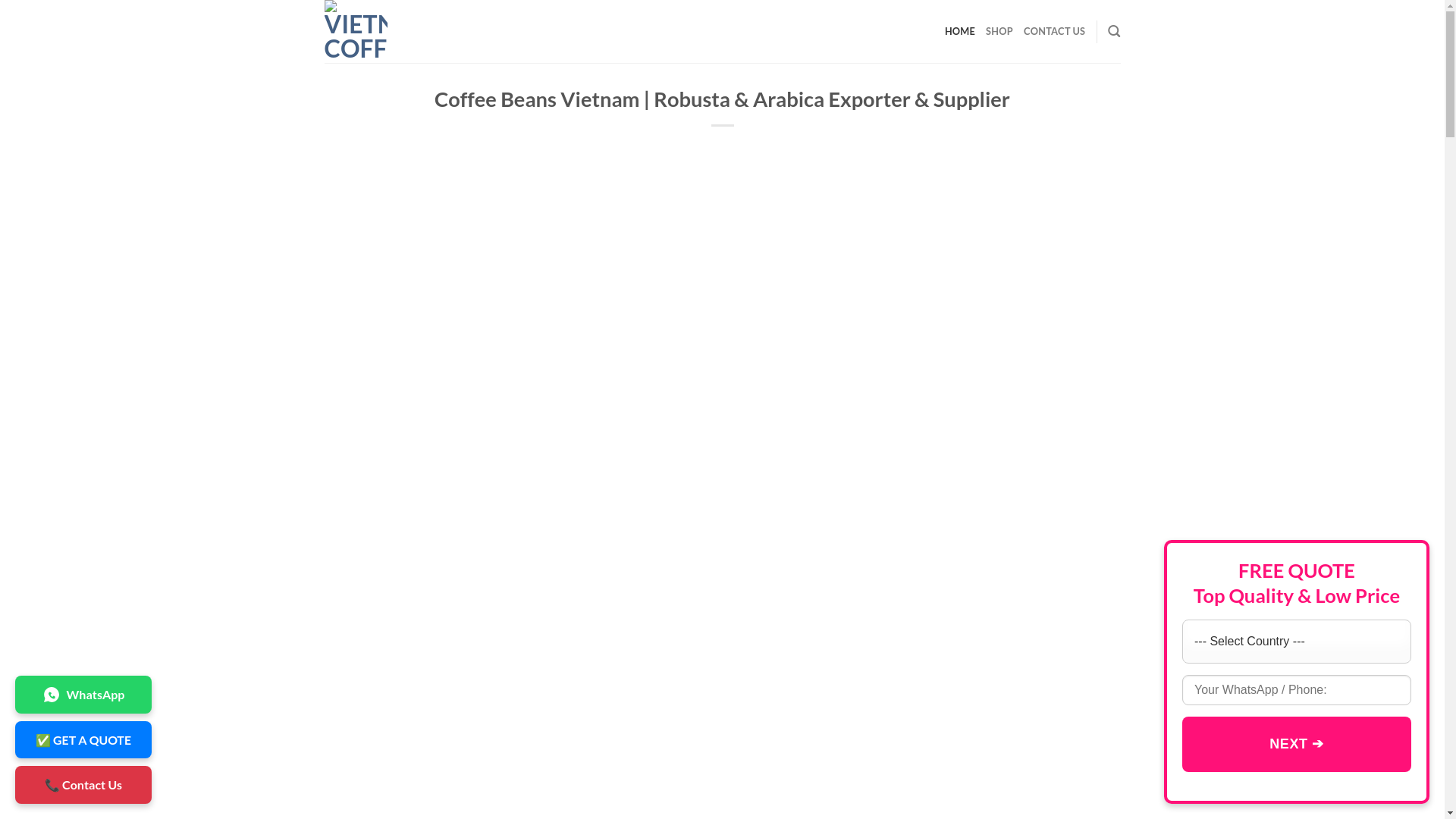 website screenshot of https://vietnamesecoffeebeanswholesale.com/