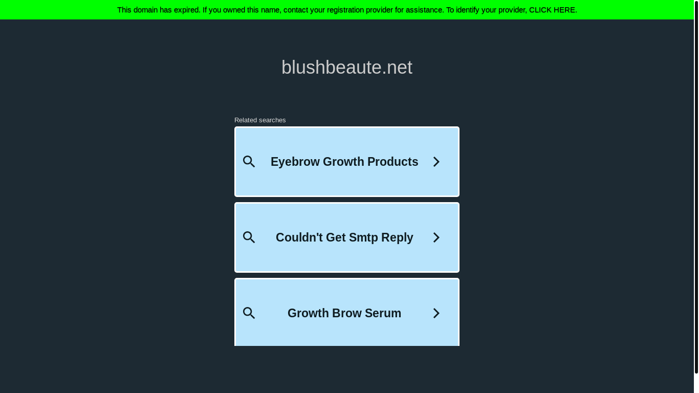website screenshot of https://blushbeaute.net/