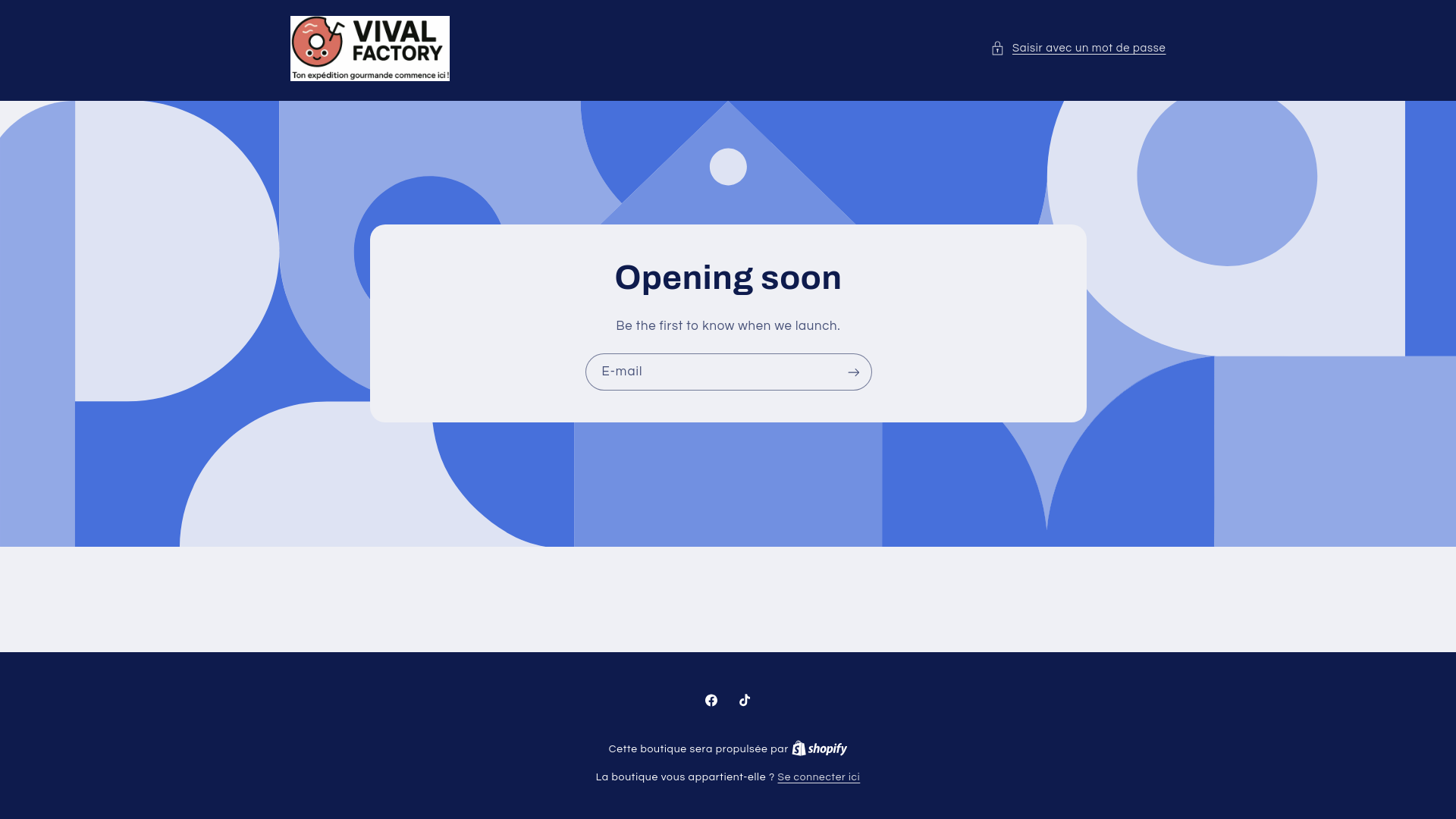 website screenshot of https://vivalfactory.com/