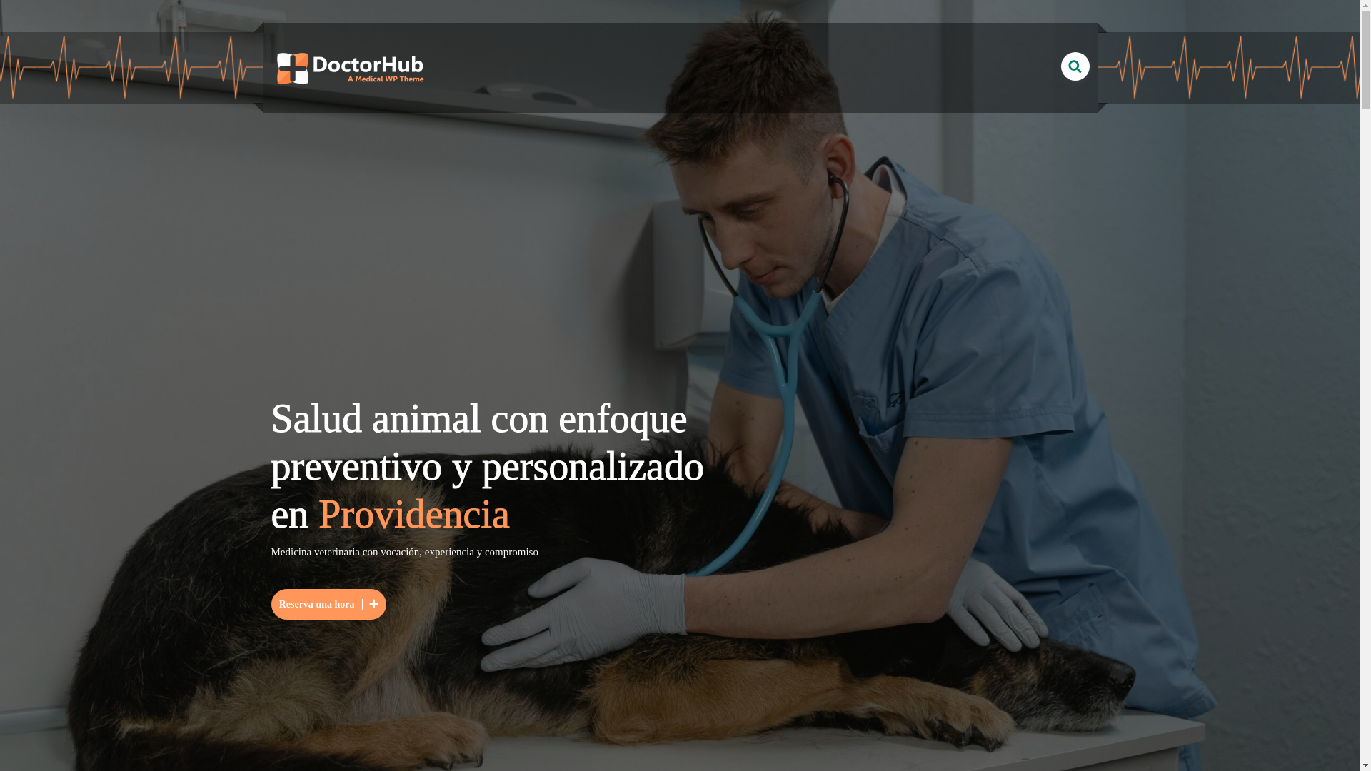 website screenshot of https://vetmontt.cl/