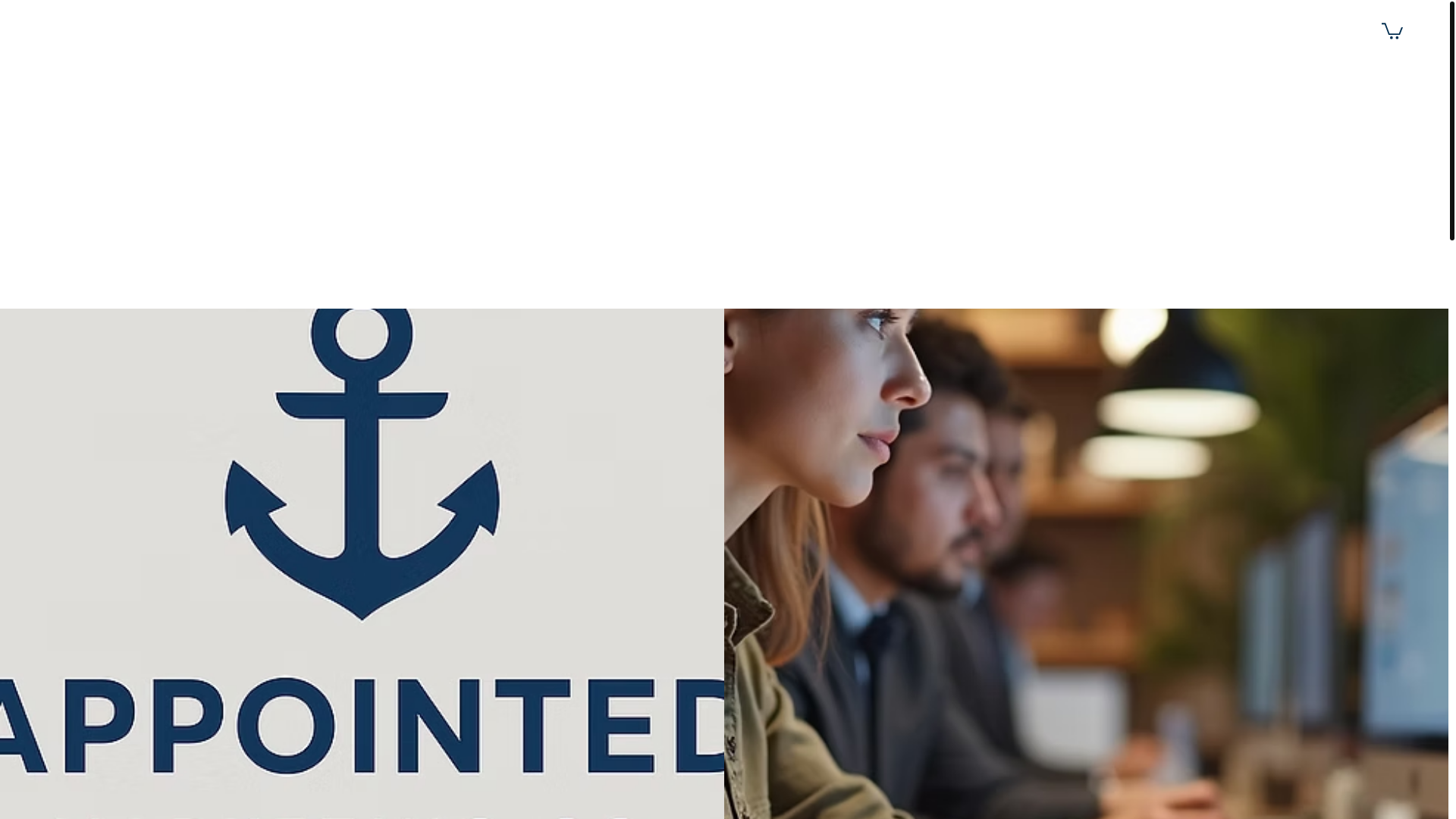 website screenshot of https://appointedmarketing.com/