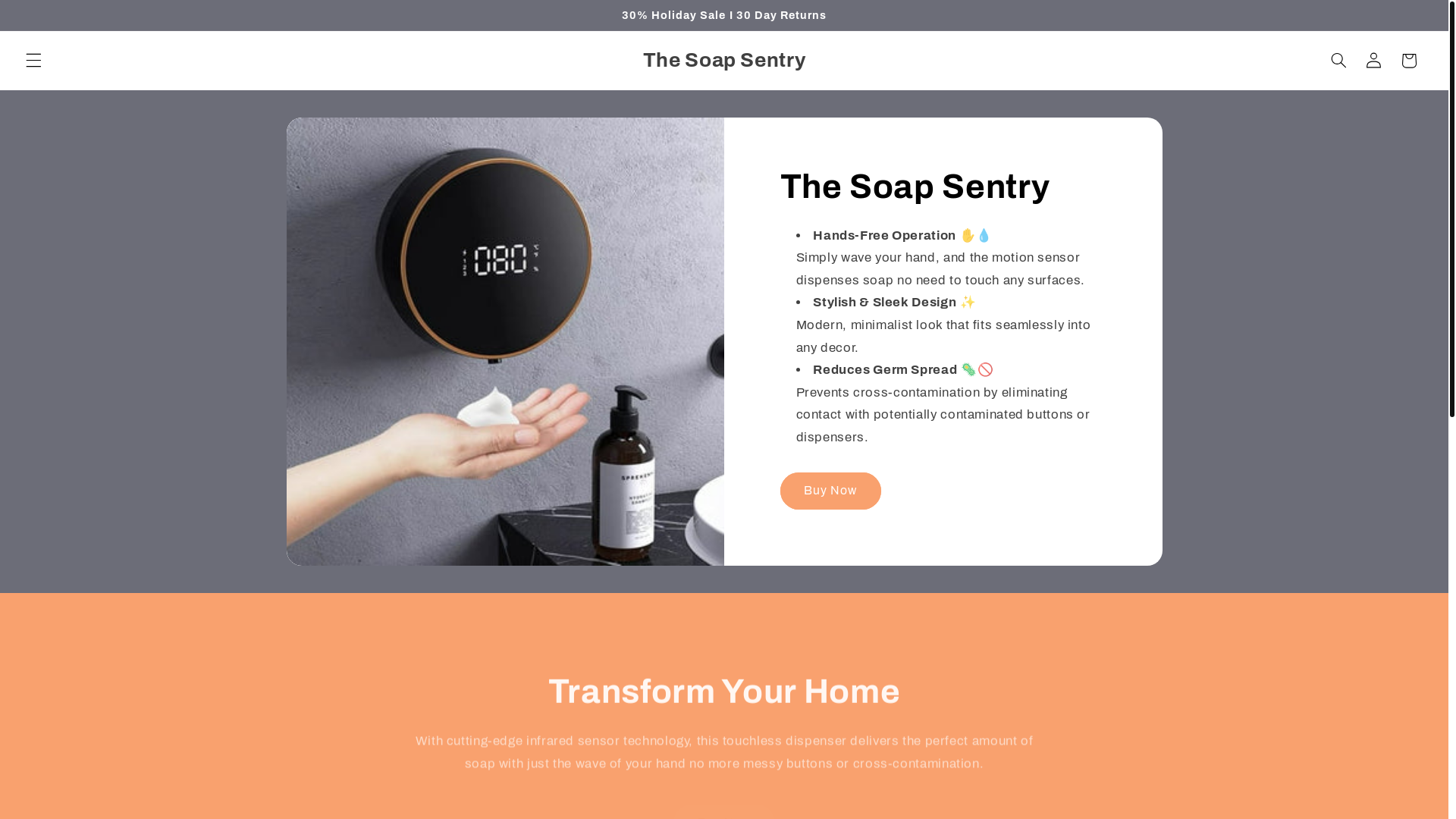 website screenshot of https://soapsentry.shop/