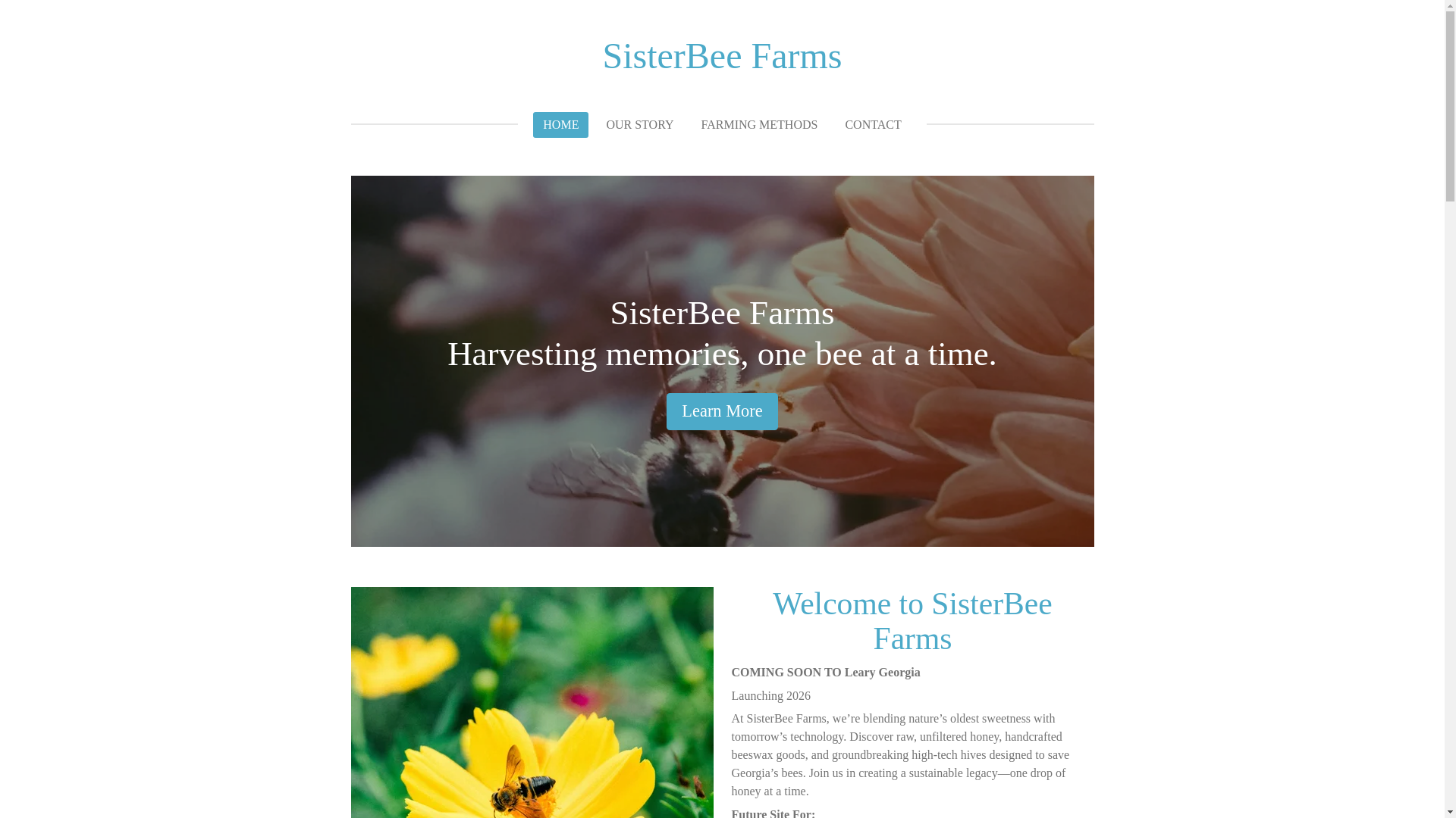 website screenshot of https://sisterbeefarms.com/
