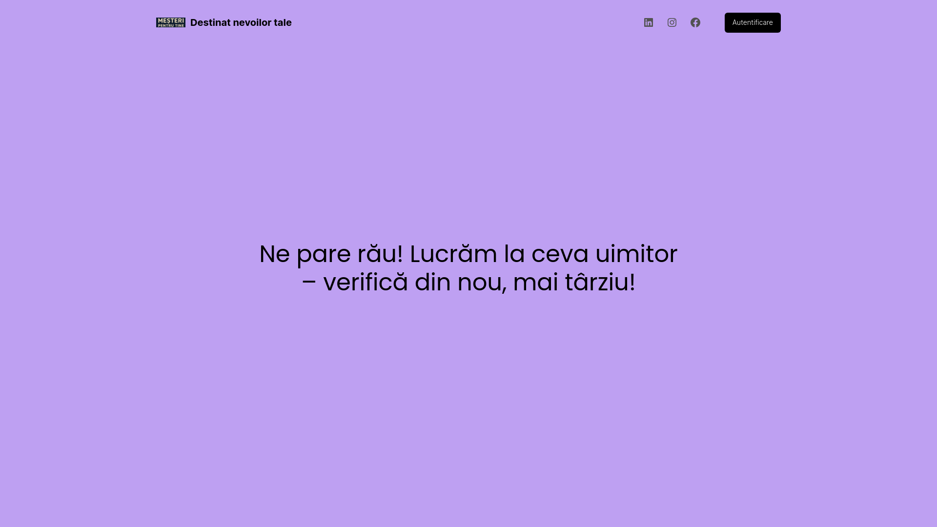 website screenshot of https://mesteripentrutine.ro/