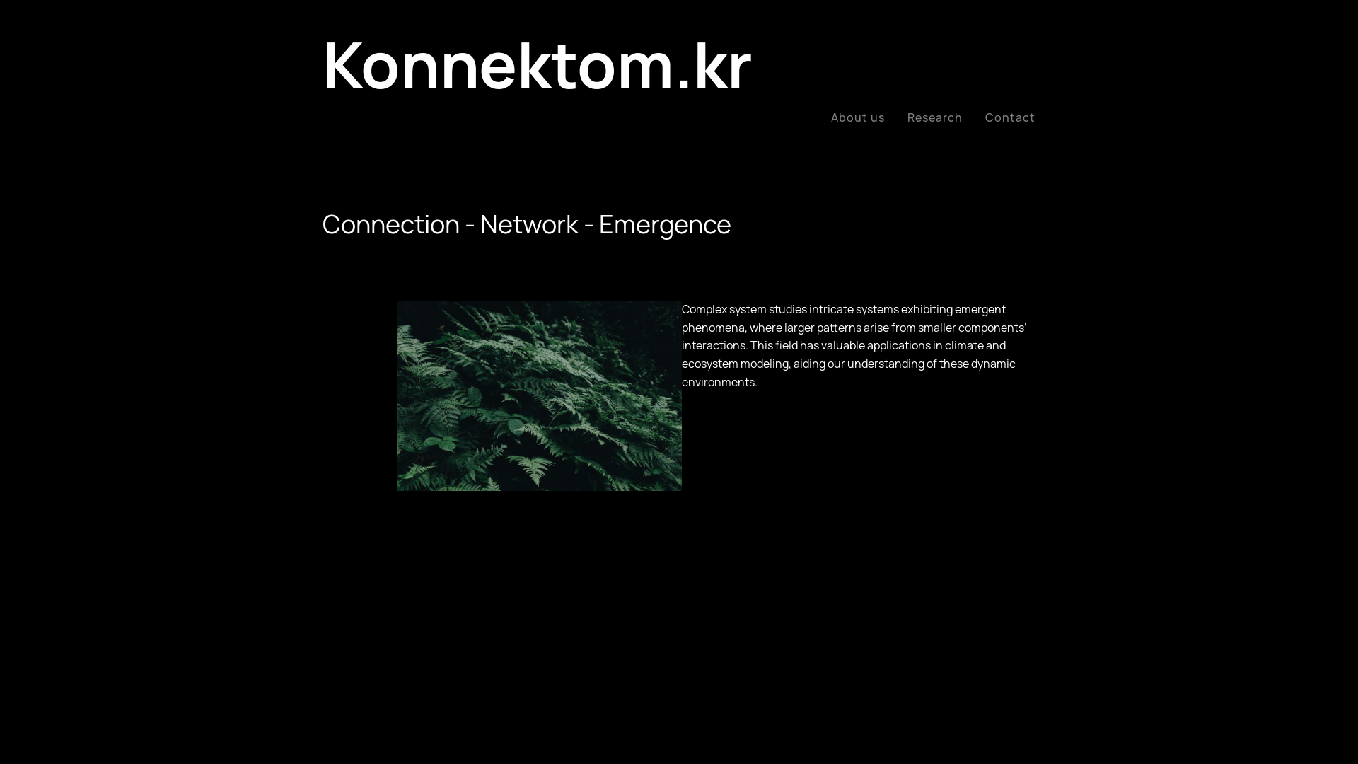 website screenshot of https://konnektom.kr/
