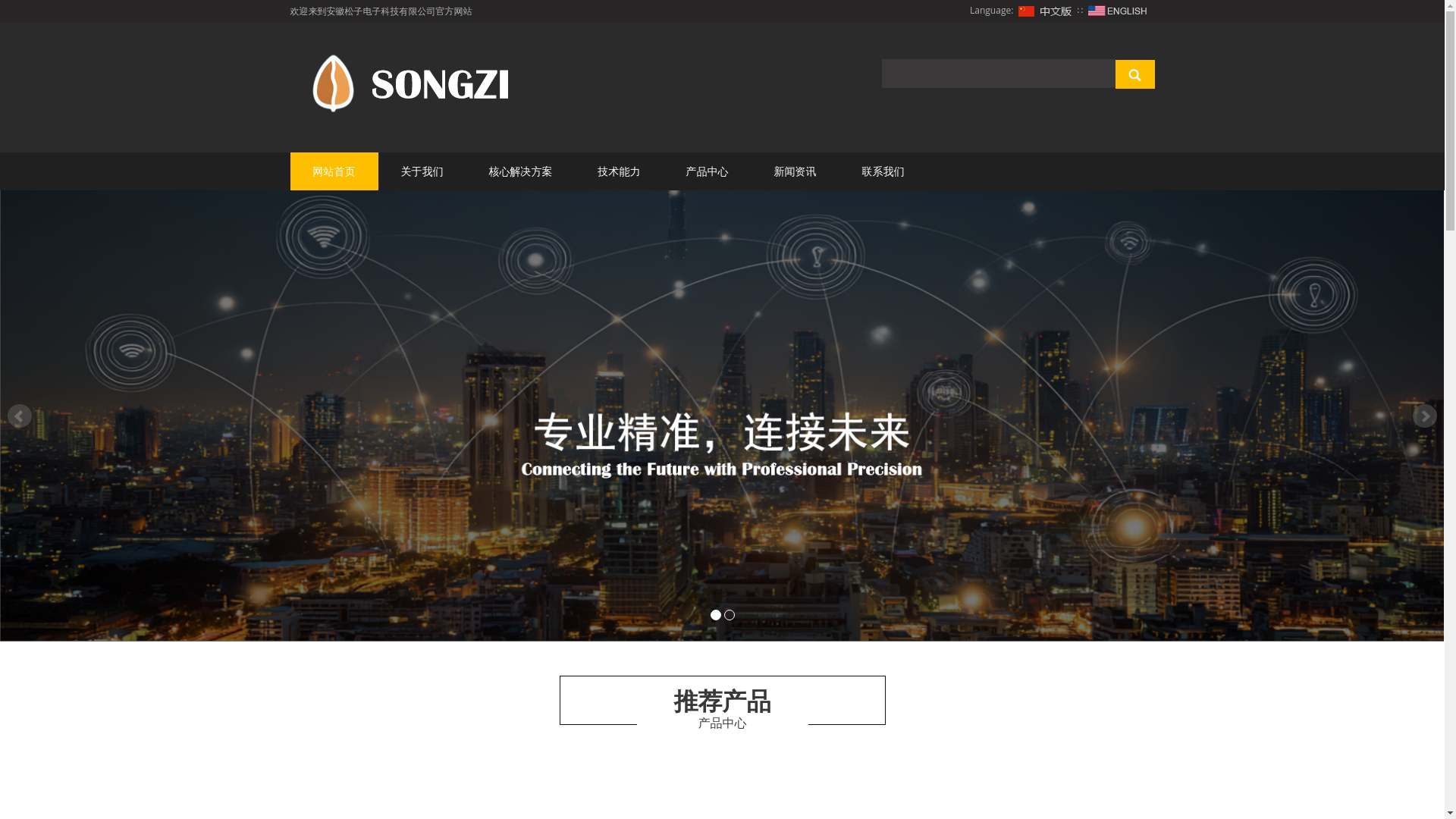 website screenshot of https://songzitech.com.cn/