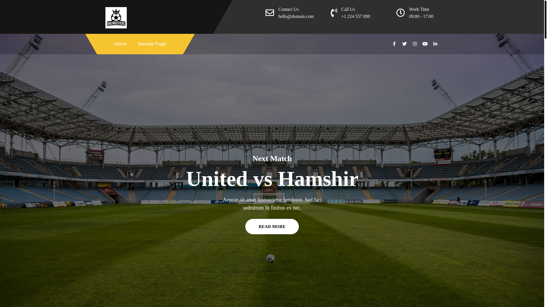 website screenshot of https://balmeesters.com/