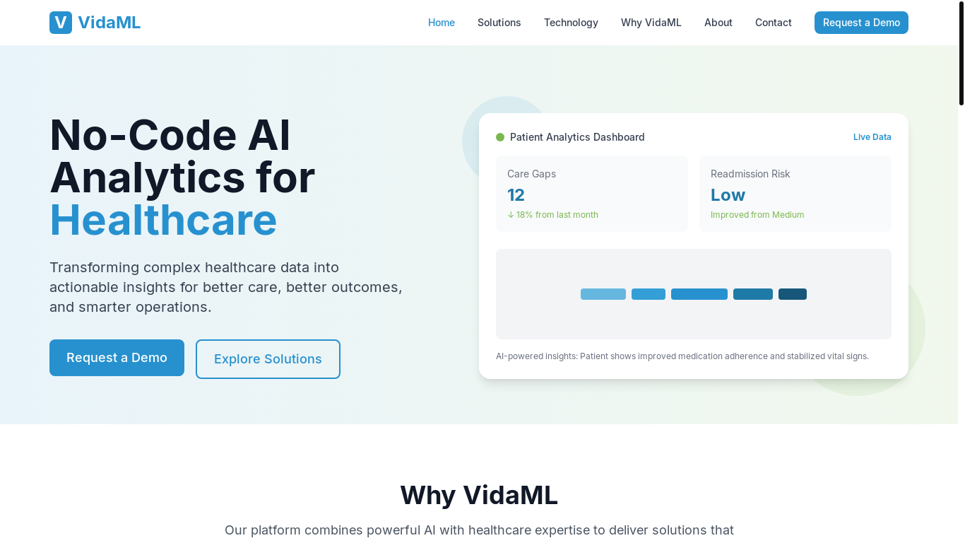 website screenshot of https://vidamltest.pages.dev/