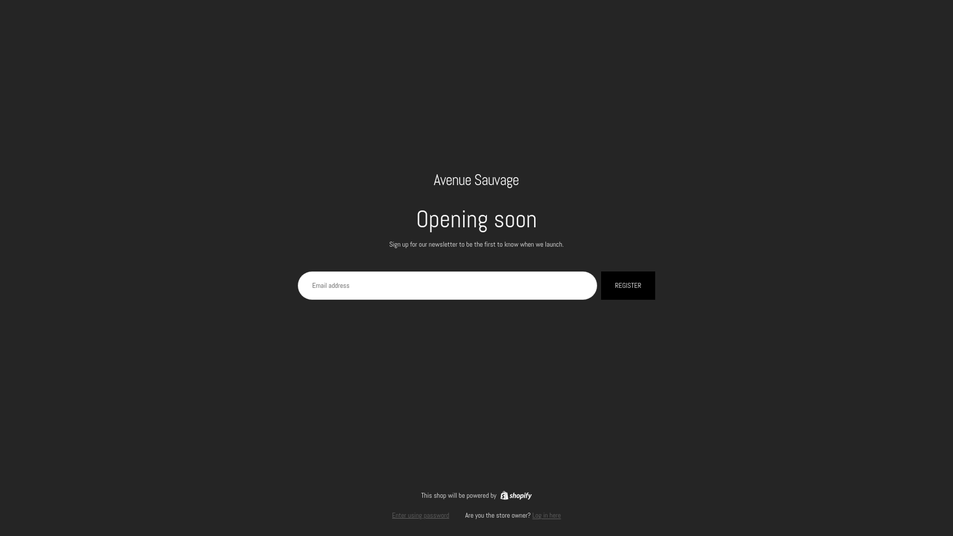 website screenshot of https://sauvageavenue.com/