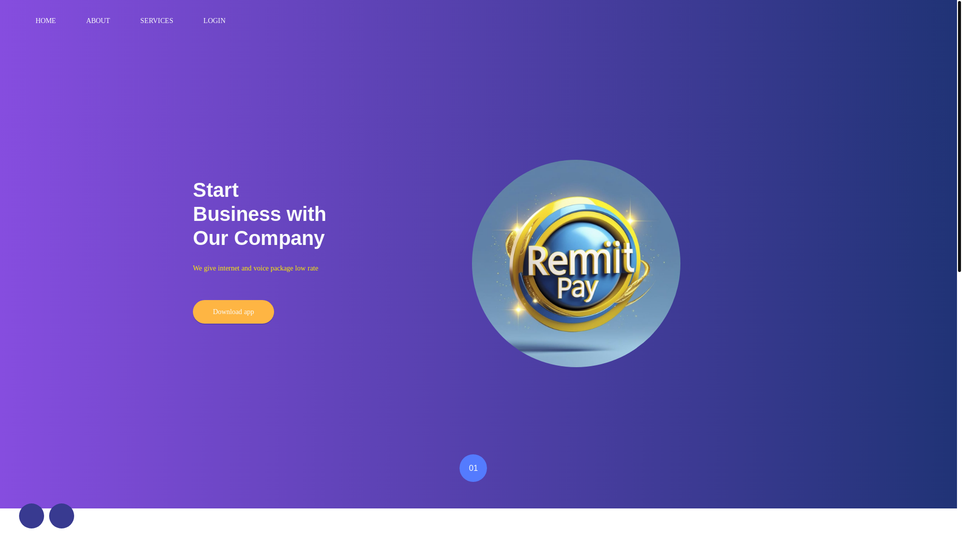 website screenshot of https://remitpayagent.top/