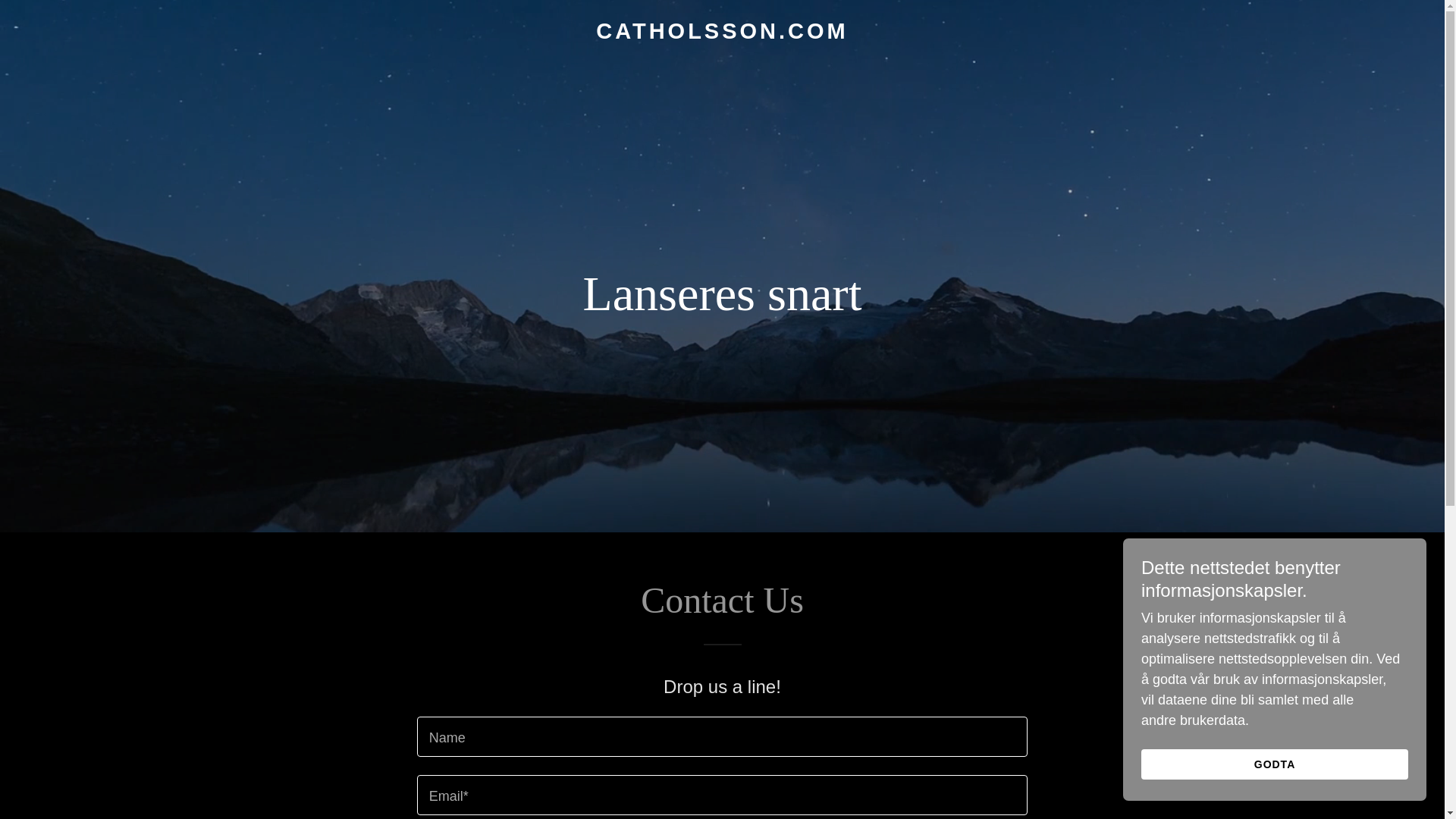 website screenshot of https://catholsson.com/