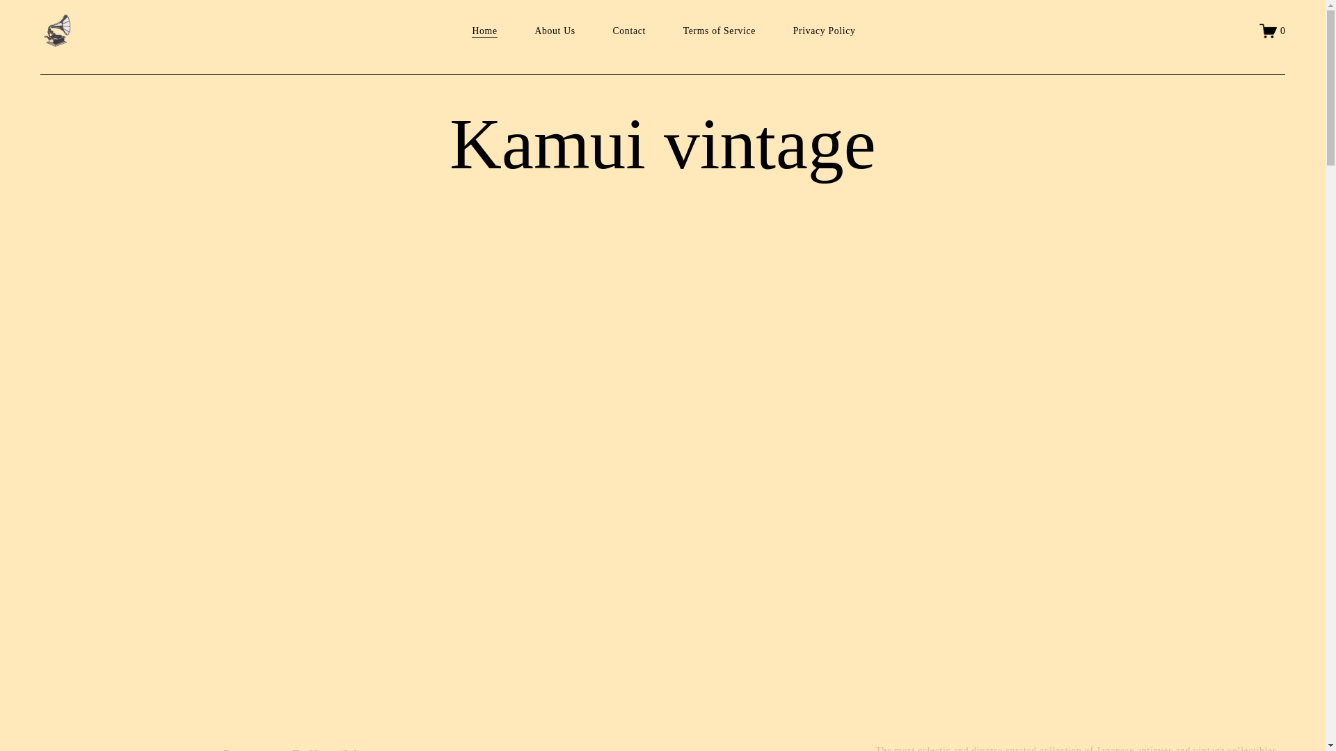 website screenshot of https://kamuivintage.com/