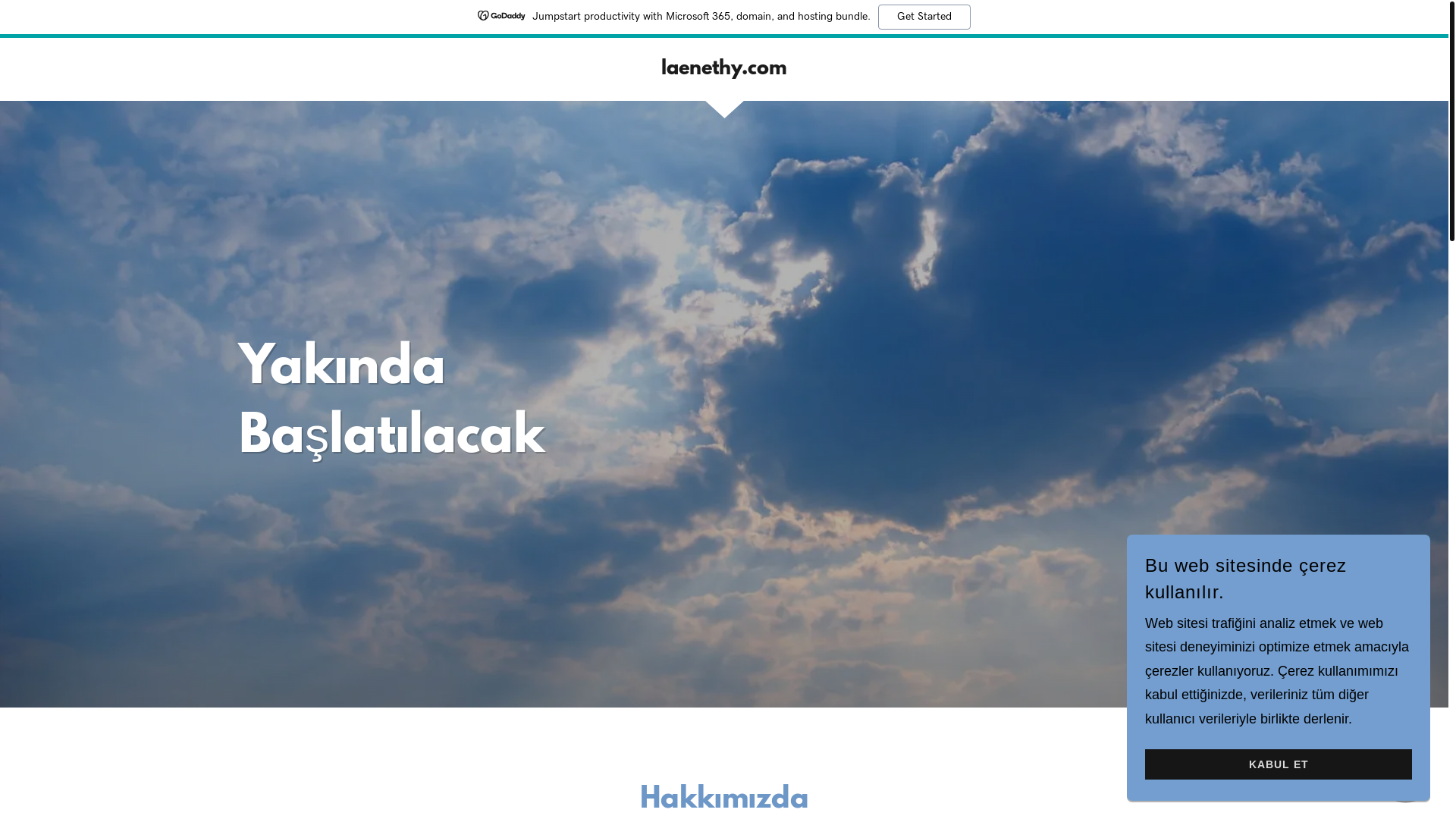 website screenshot of https://laenethy.com/