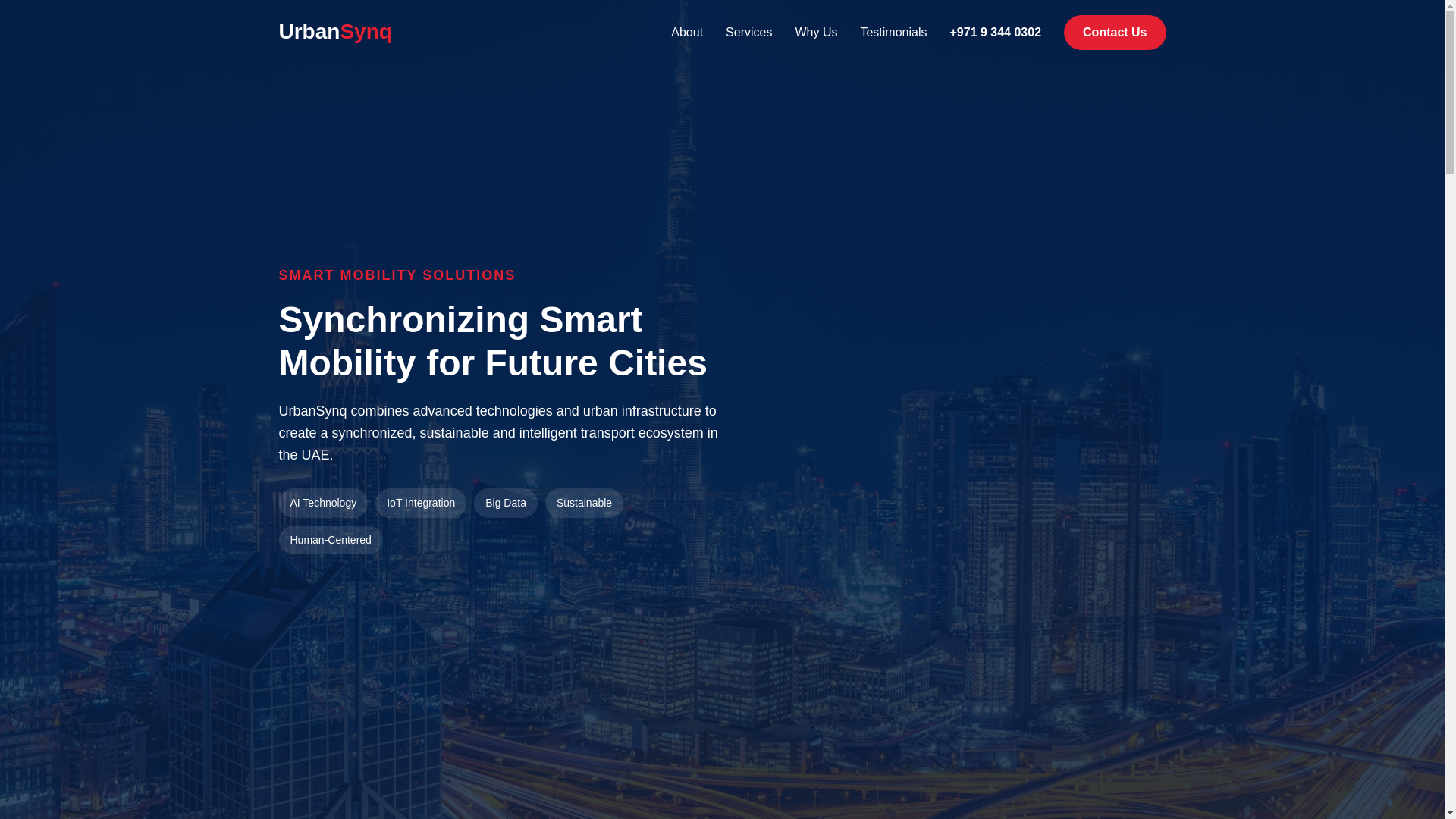 website screenshot of https://roadwatchuae.pro/