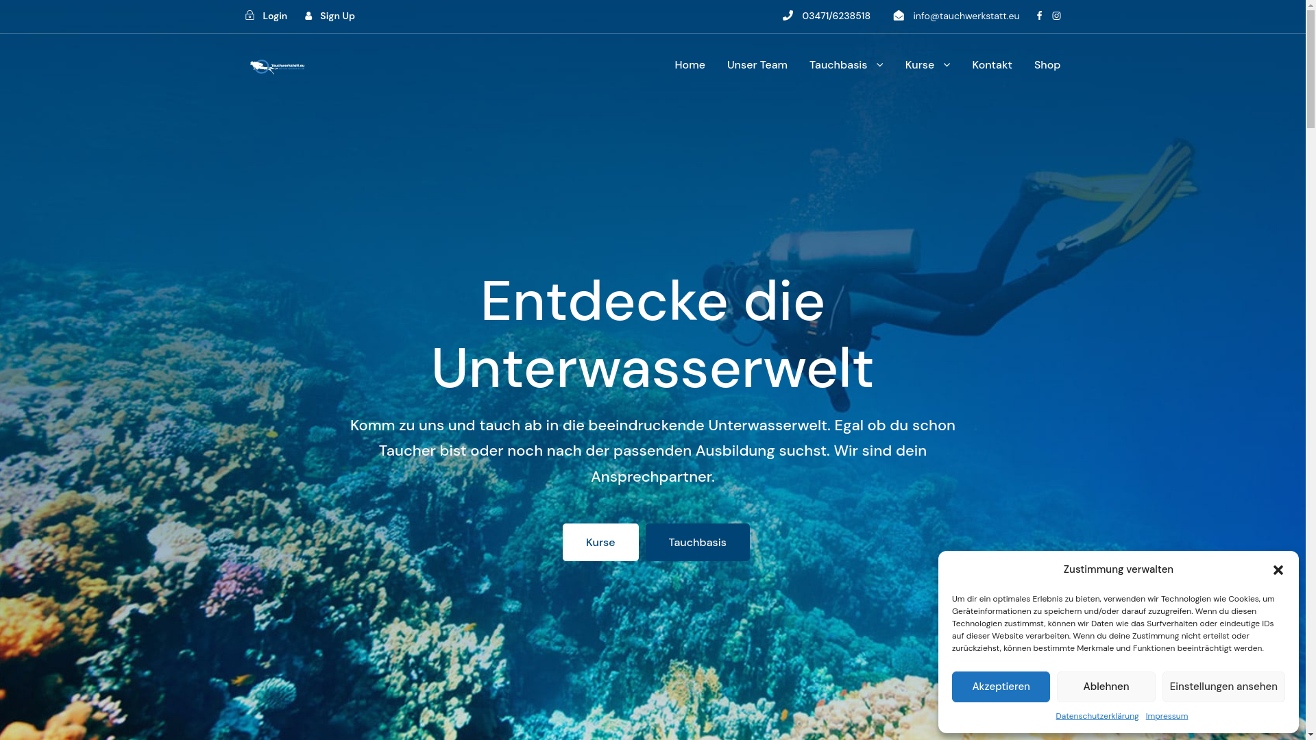 website screenshot of https://goitzsche-tauchen.de/