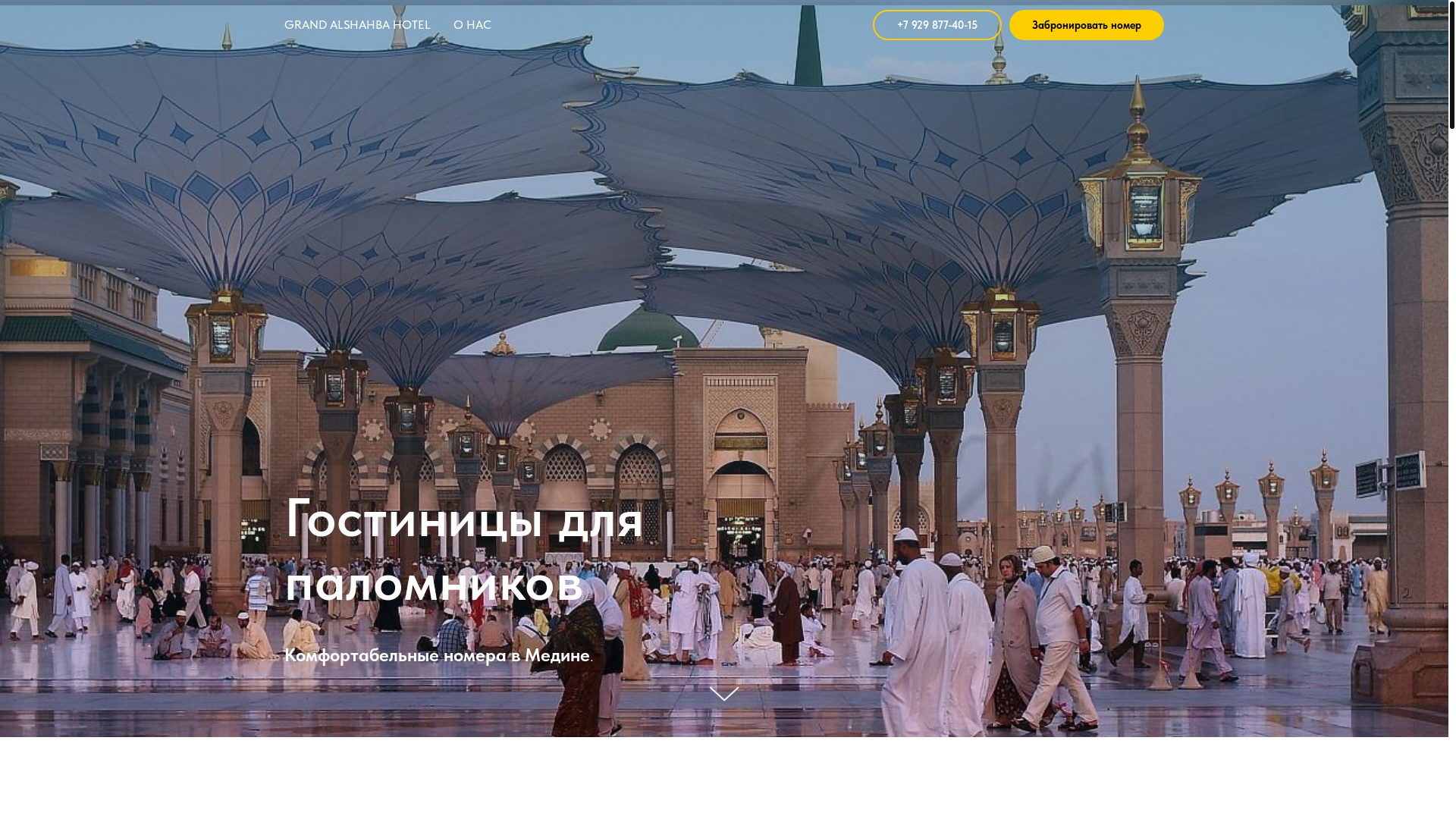 website screenshot of https://hotelksa.ru/