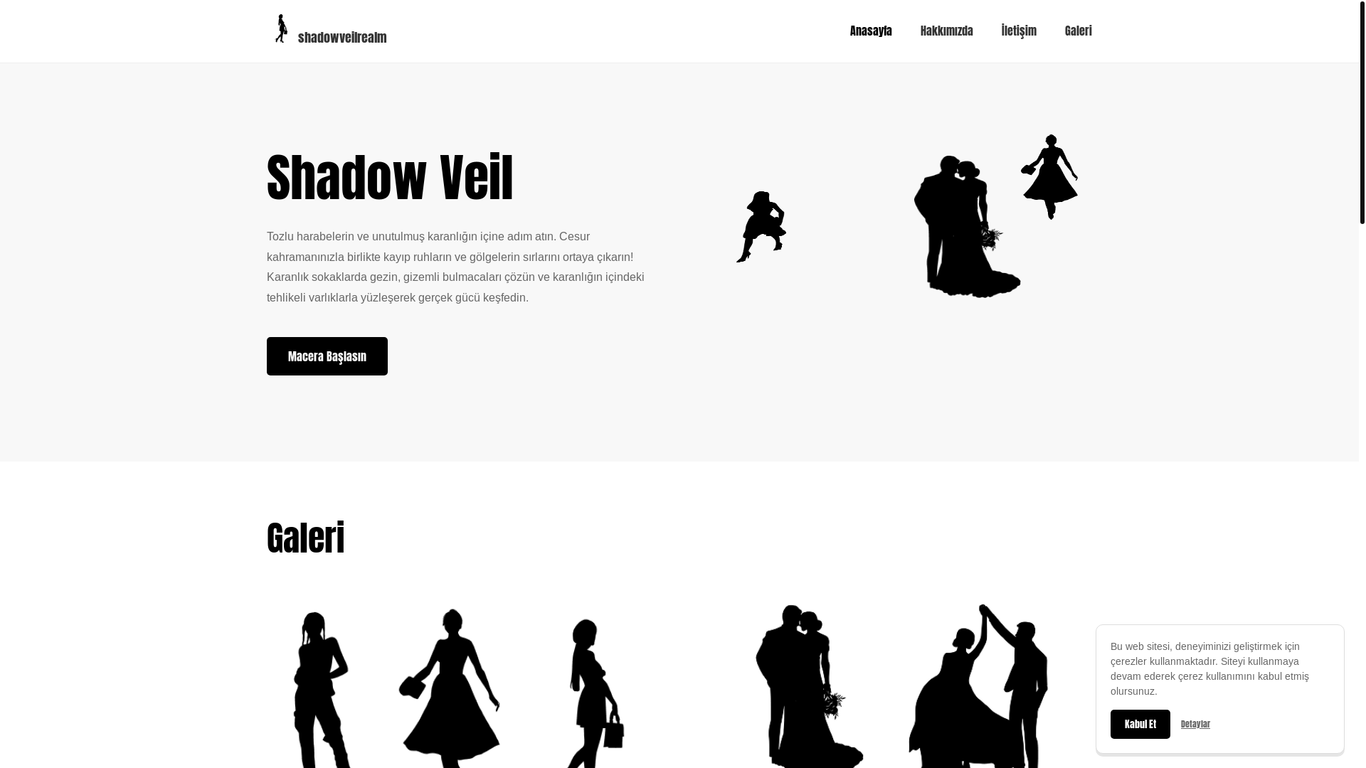 website screenshot of https://shadowveilrealm.com/
