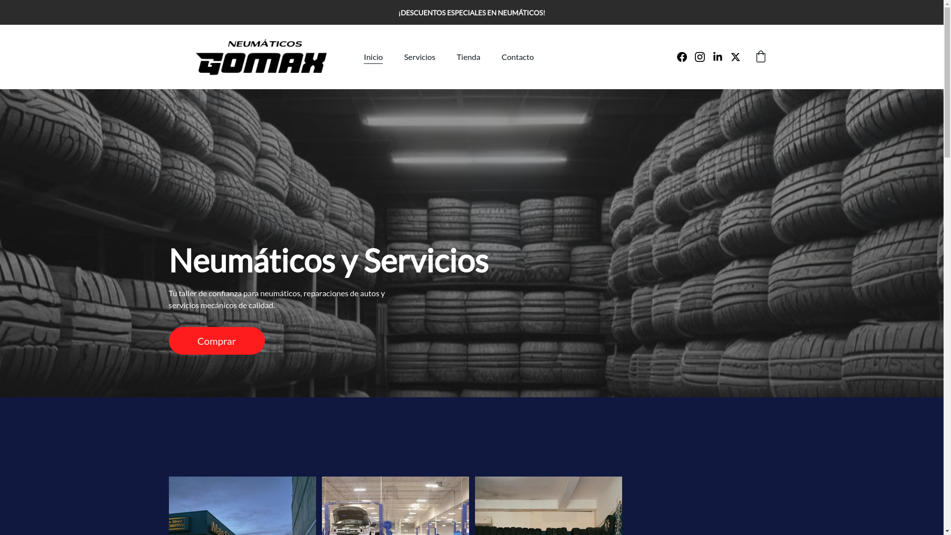 website screenshot of https://neumaticosgomax.com.ar/