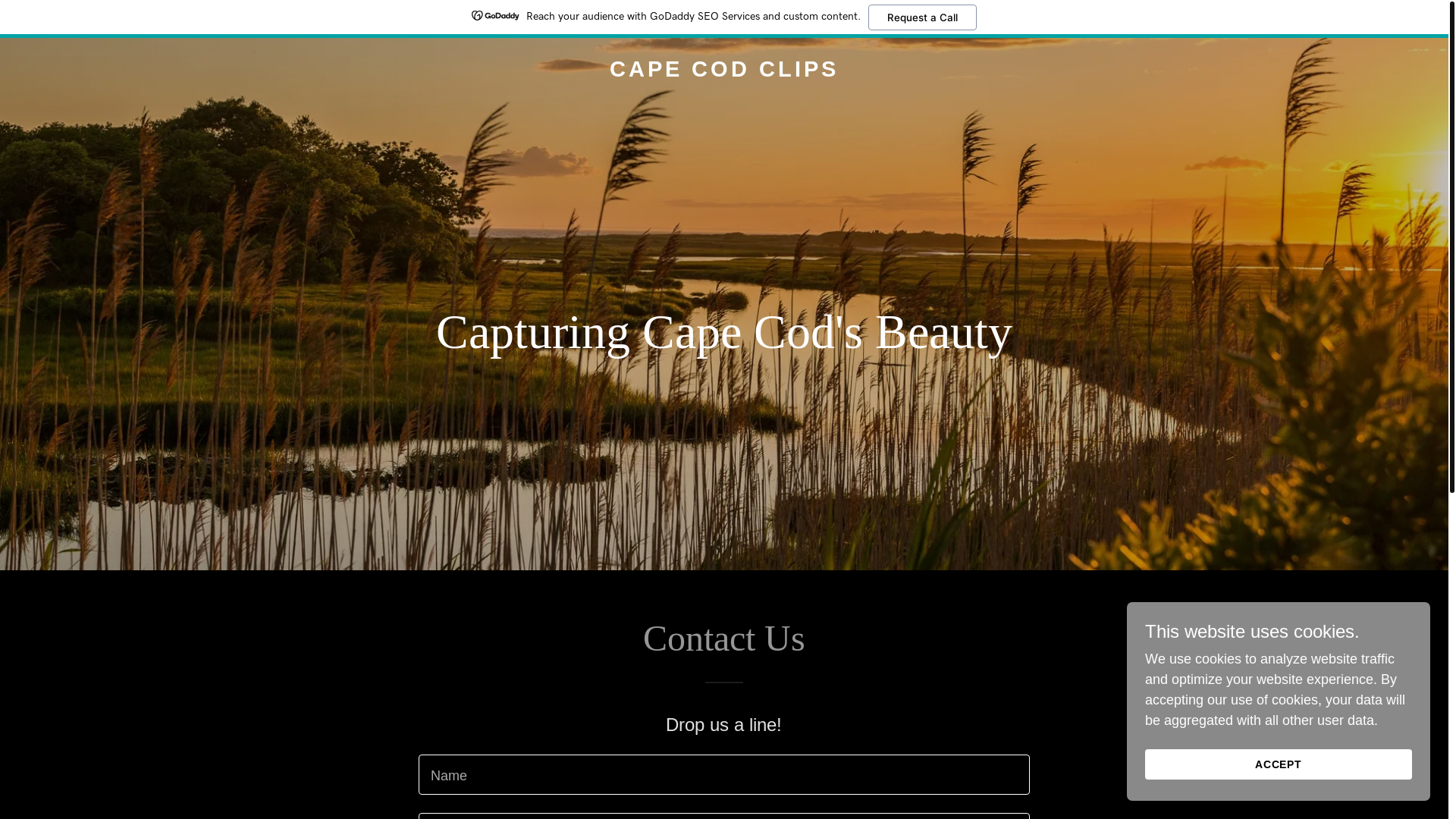 website screenshot of https://capecodclips.com/