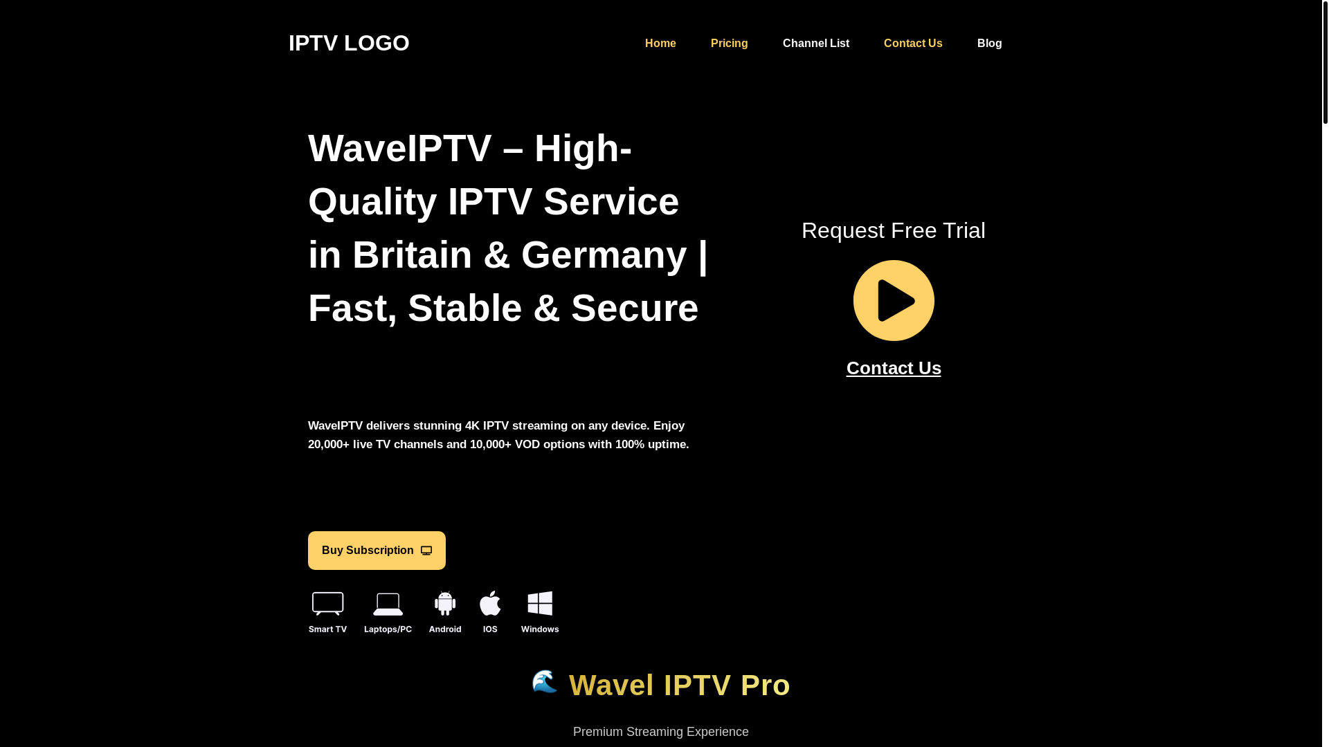 website screenshot of https://waveliptvpro.com/